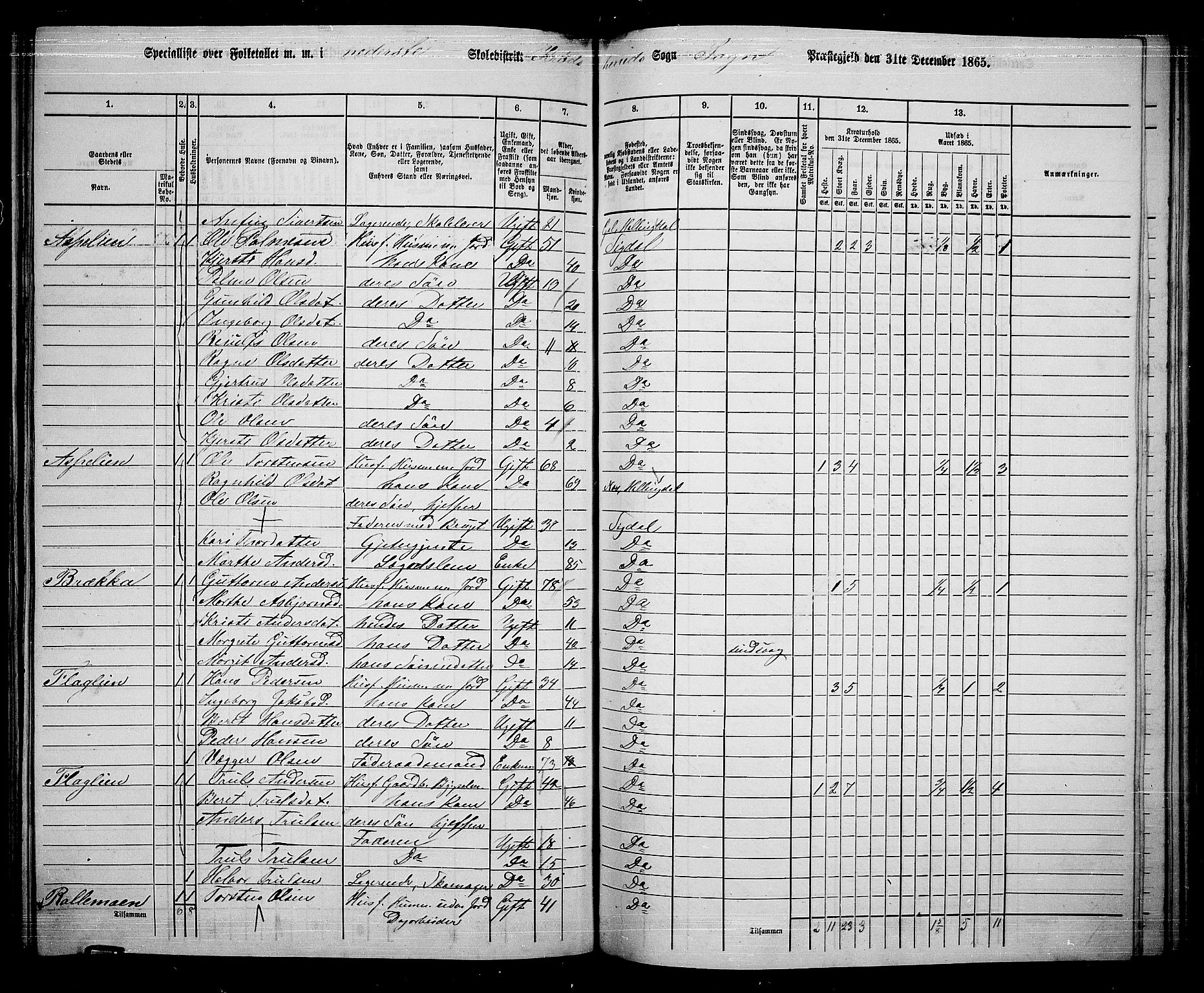 RA, 1865 census for Sigdal, 1865, p. 199