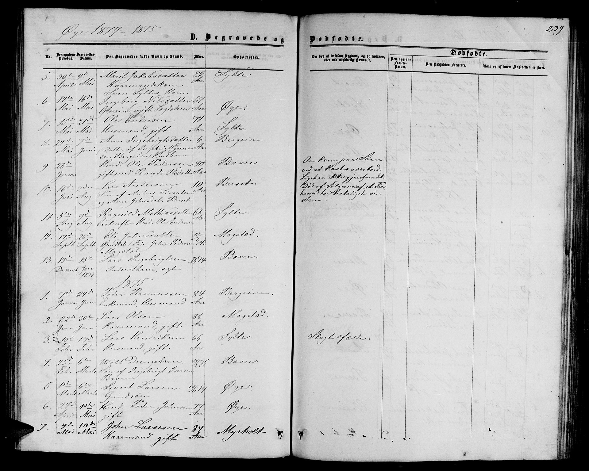 Ministerialprotokoller, klokkerbøker og fødselsregistre - Møre og Romsdal, AV/SAT-A-1454/595/L1051: Parish register (copy) no. 595C03, 1866-1891, p. 239