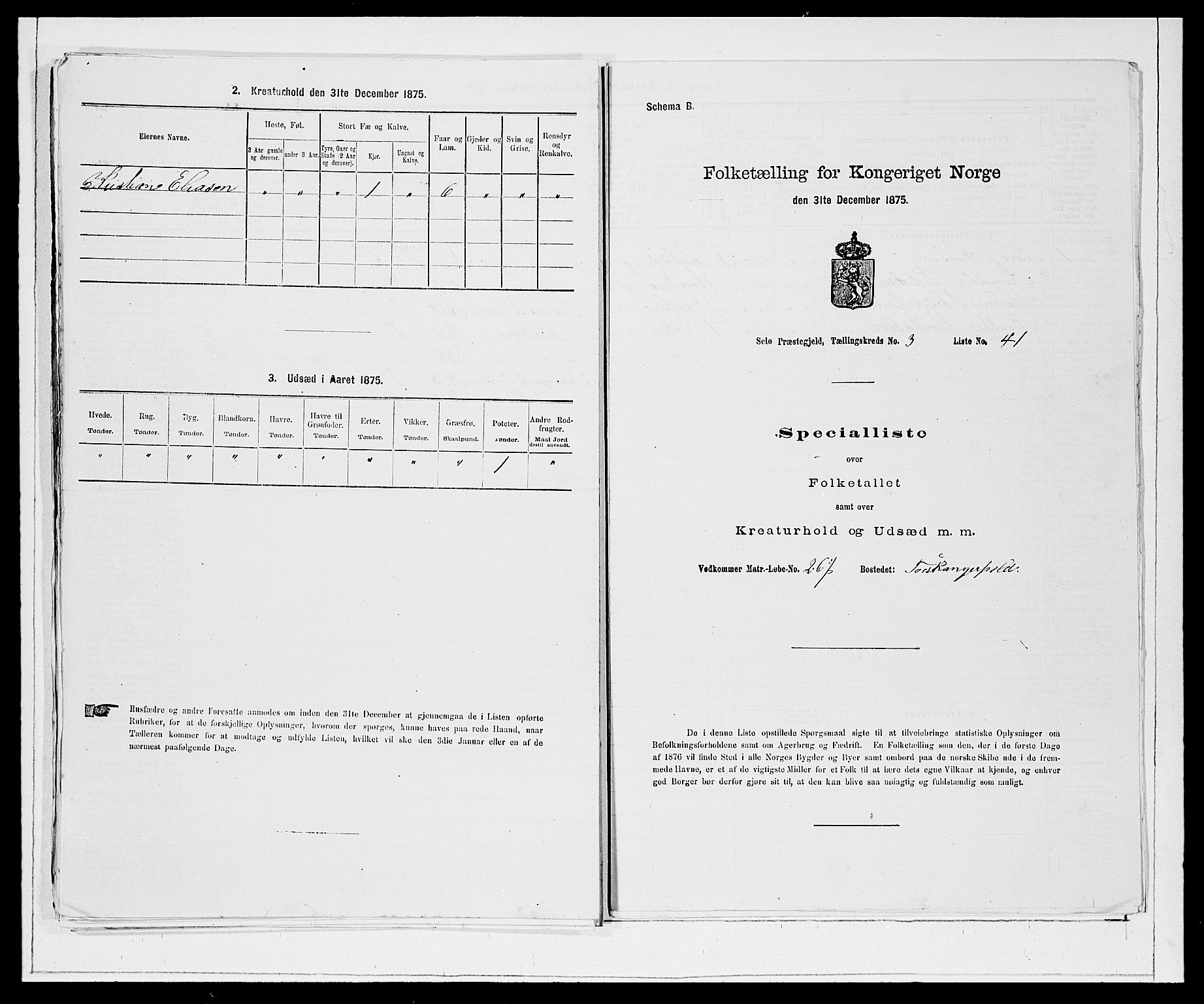 SAB, 1875 Census for 1441P Selje, 1875, p. 456