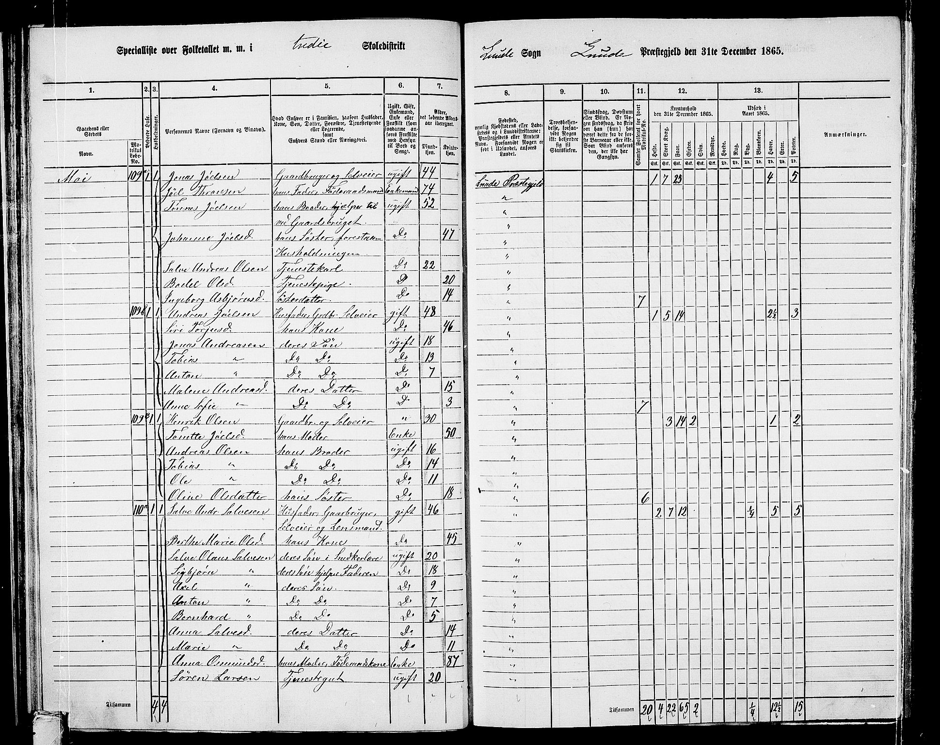 RA, 1865 census for Lund, 1865, p. 43