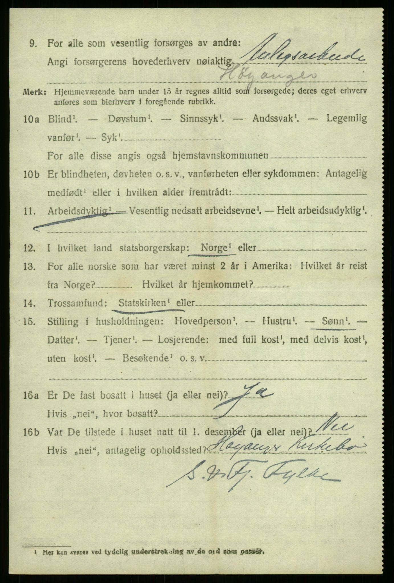 SAB, 1920 census for Hafslo, 1920, p. 6319