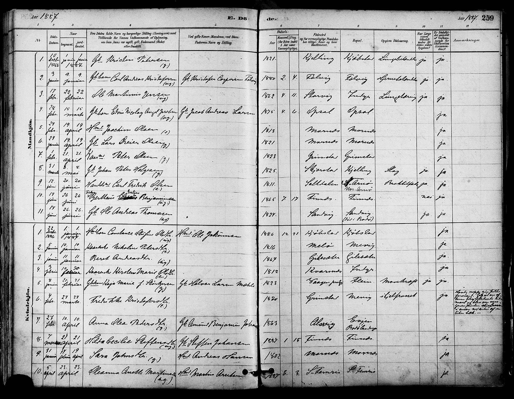 Ministerialprotokoller, klokkerbøker og fødselsregistre - Nordland, AV/SAT-A-1459/805/L0099: Parish register (official) no. 805A06, 1880-1891, p. 259