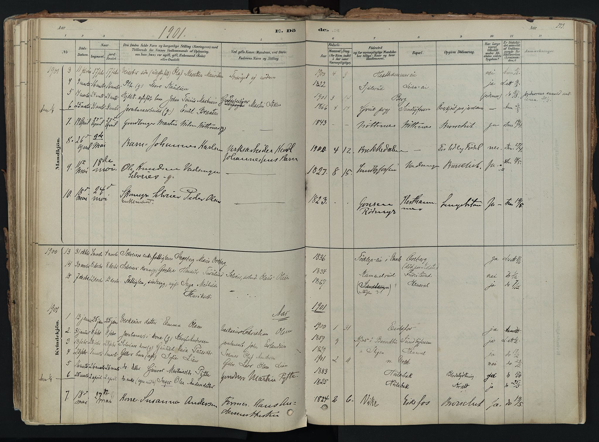 Hof kirkebøker, AV/SAKO-A-64/F/Fa/L0007: Parish register (official) no. I 7, 1878-1940, p. 273