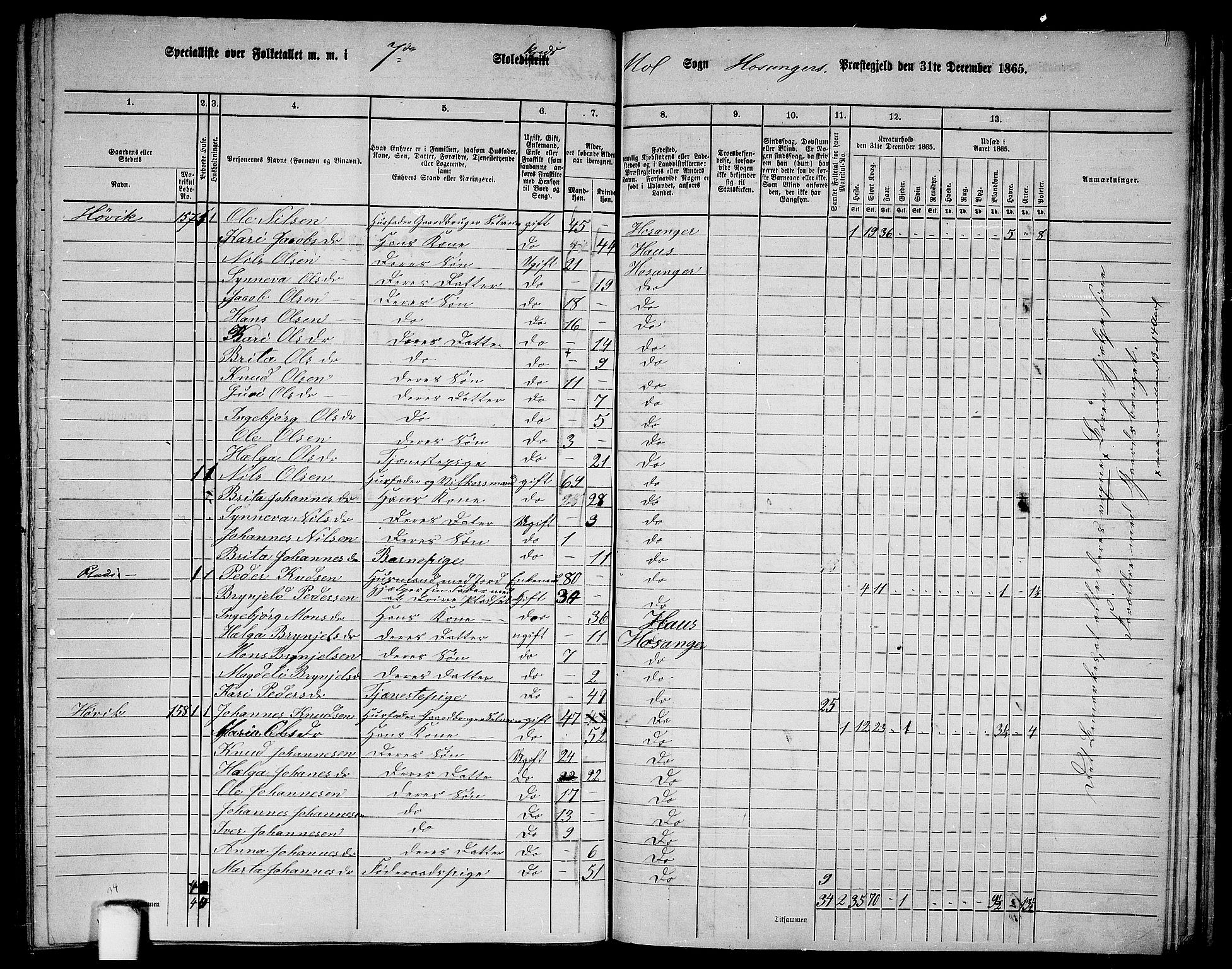 RA, 1865 census for Hosanger, 1865, p. 139