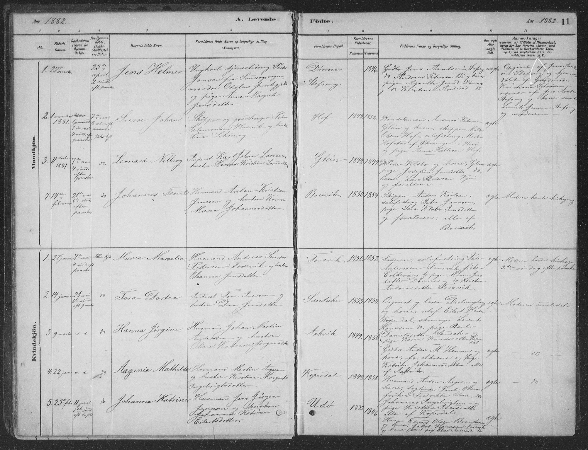 Ministerialprotokoller, klokkerbøker og fødselsregistre - Nordland, AV/SAT-A-1459/835/L0532: Parish register (copy) no. 835C04, 1880-1905, p. 11