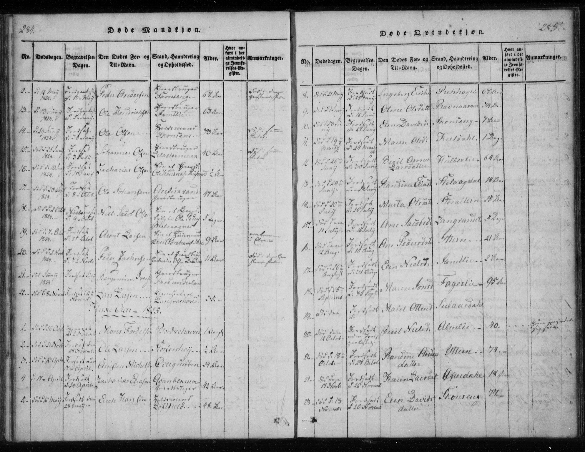 Ministerialprotokoller, klokkerbøker og fødselsregistre - Nordland, AV/SAT-A-1459/825/L0353: Parish register (official) no. 825A07, 1820-1826, p. 284-285