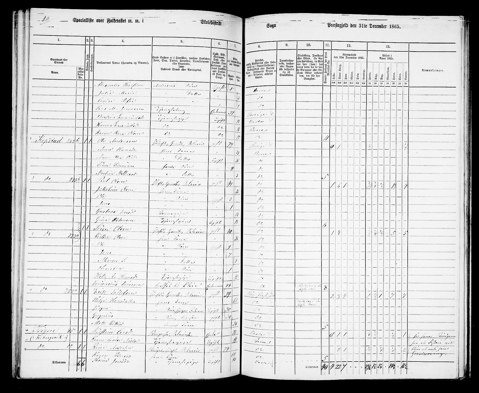 RA, 1865 census for Borre, 1865, p. 143