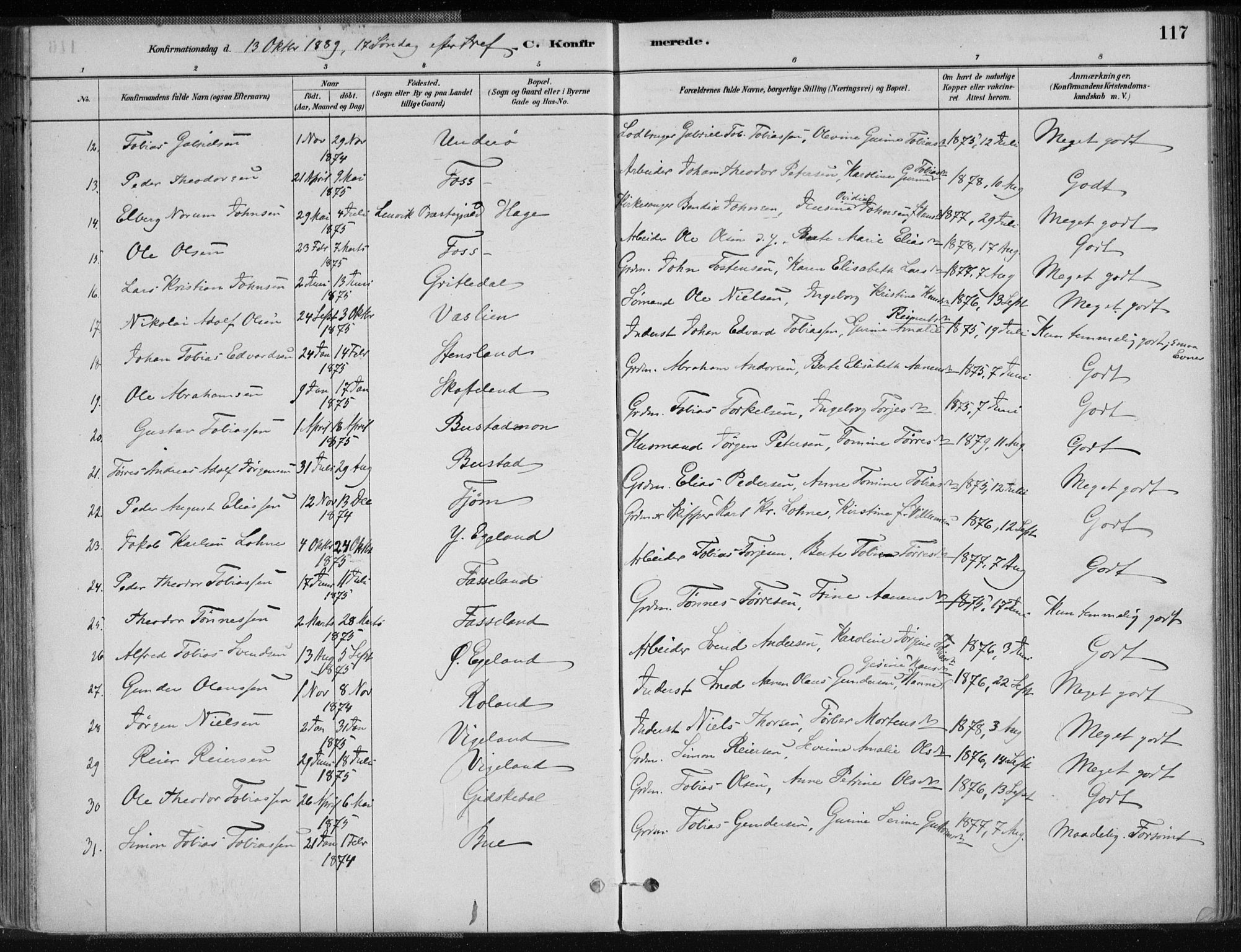 Sør-Audnedal sokneprestkontor, AV/SAK-1111-0039/F/Fa/Fab/L0009: Parish register (official) no. A 9, 1880-1895, p. 117