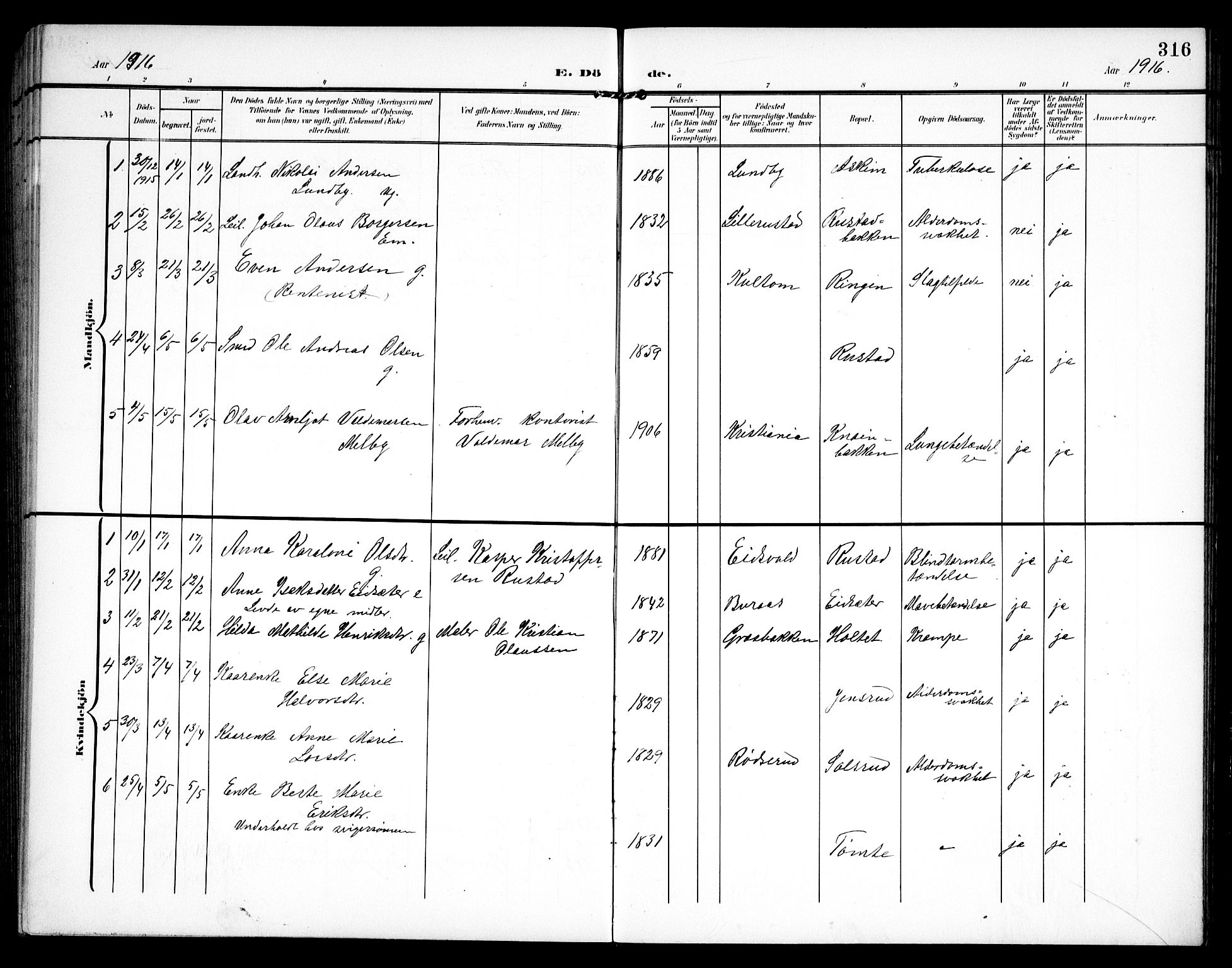 Hurdal prestekontor Kirkebøker, AV/SAO-A-10889/G/Ga/L0001: Parish register (copy) no. I 1, 1902-1934, p. 316