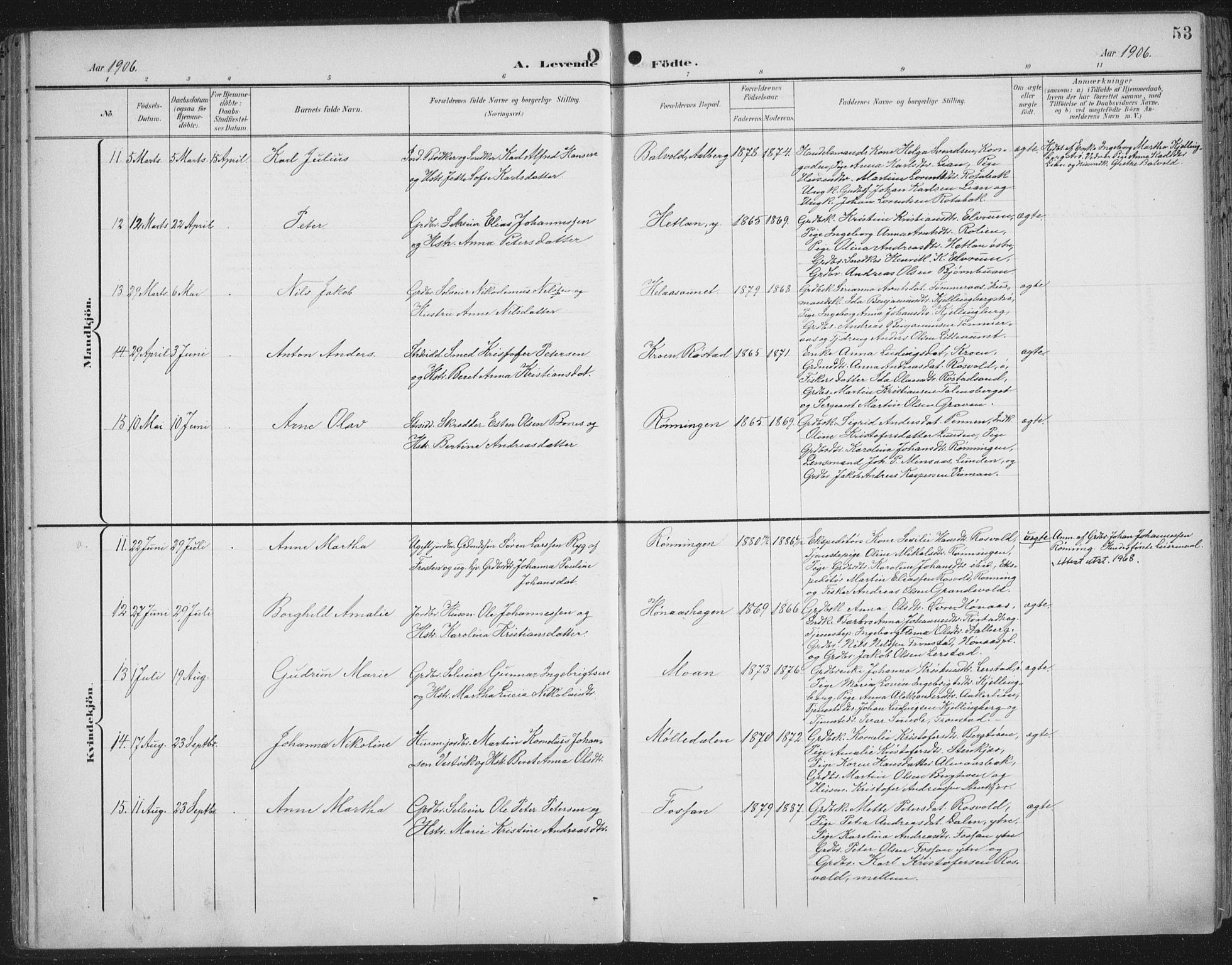 Ministerialprotokoller, klokkerbøker og fødselsregistre - Nord-Trøndelag, AV/SAT-A-1458/701/L0011: Parish register (official) no. 701A11, 1899-1915, p. 53