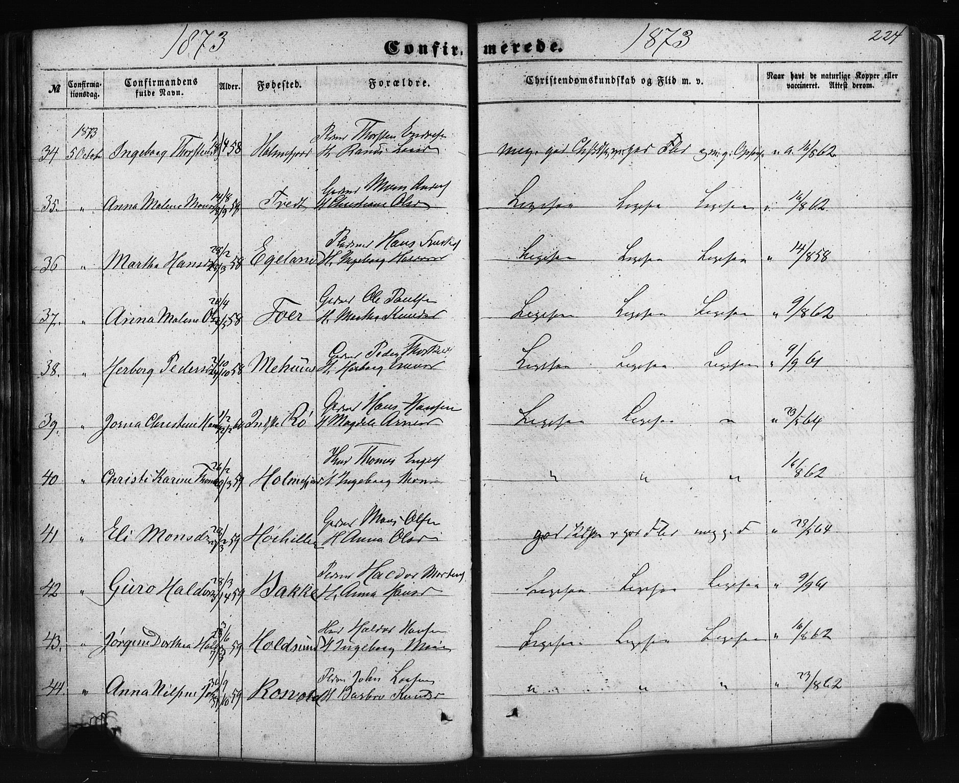 Fusa sokneprestembete, AV/SAB-A-75401/H/Haa: Parish register (official) no. A 1I, 1855-1879, p. 224