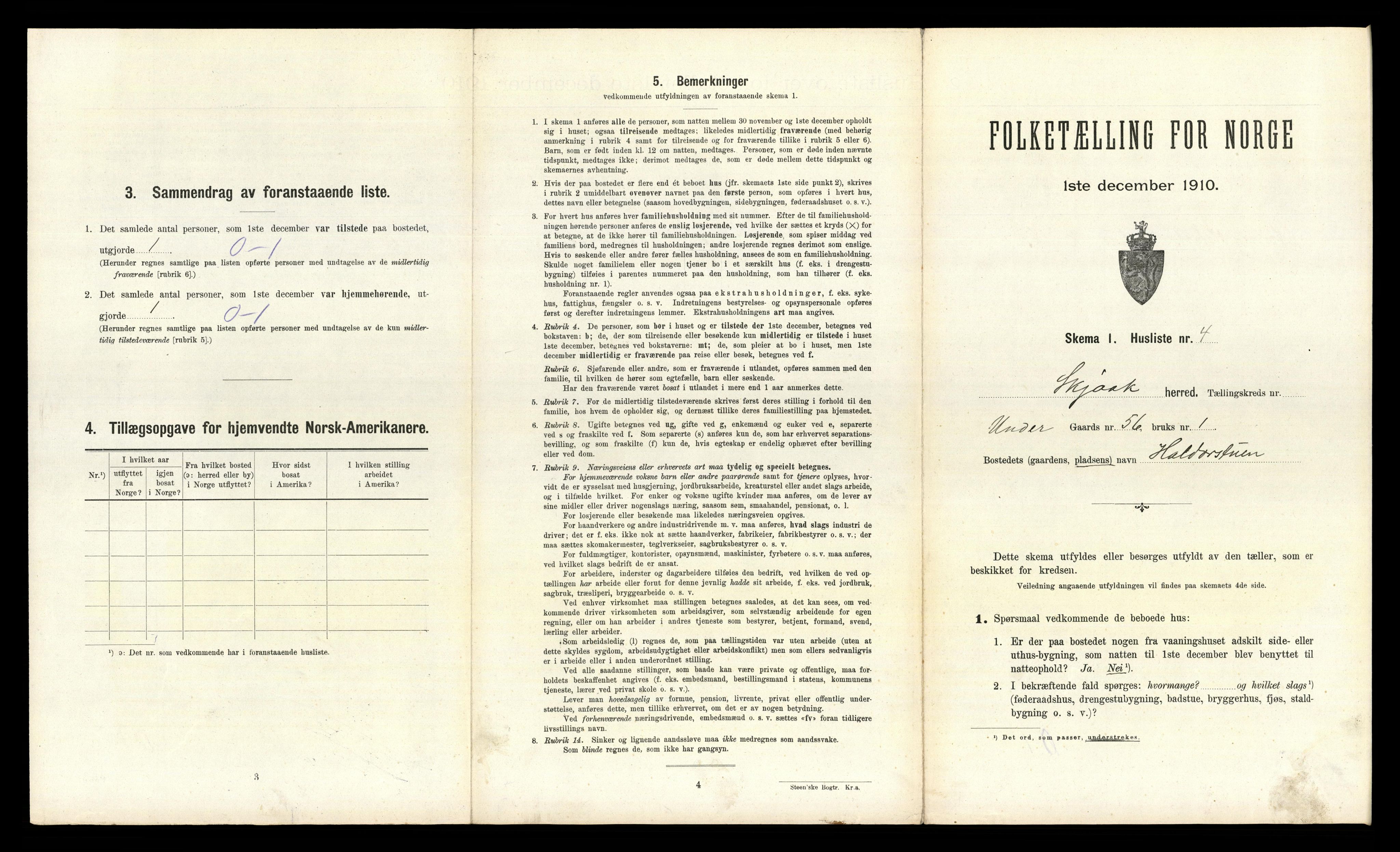 RA, 1910 census for Skjåk, 1910, p. 314