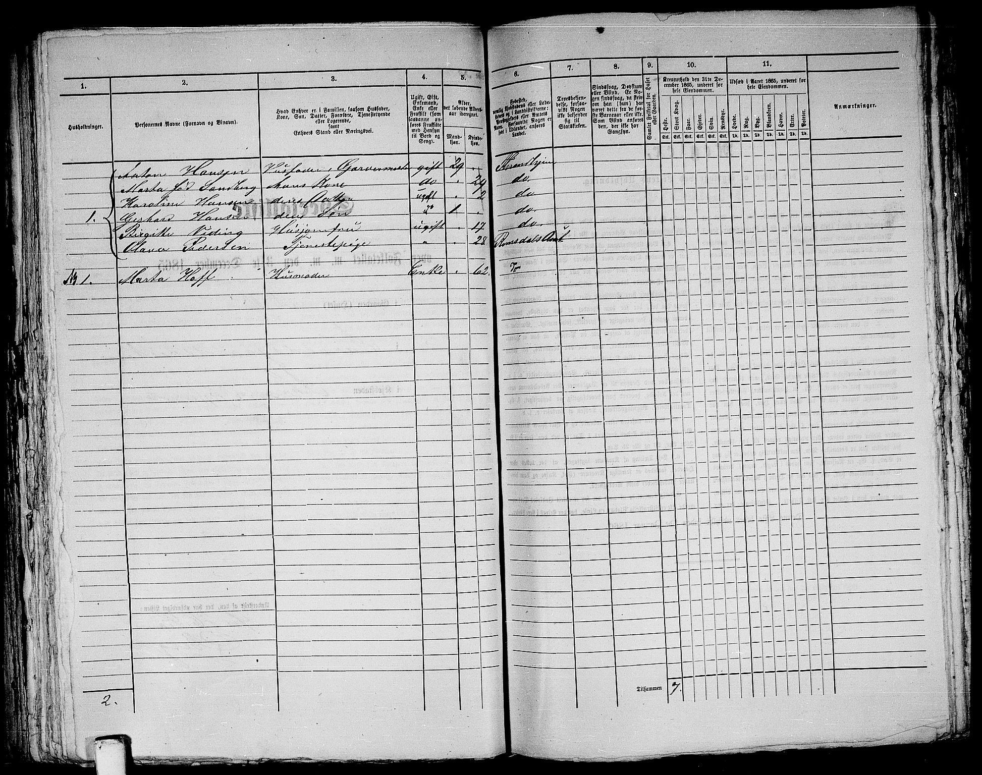 RA, 1865 census for Trondheim, 1865, p. 356