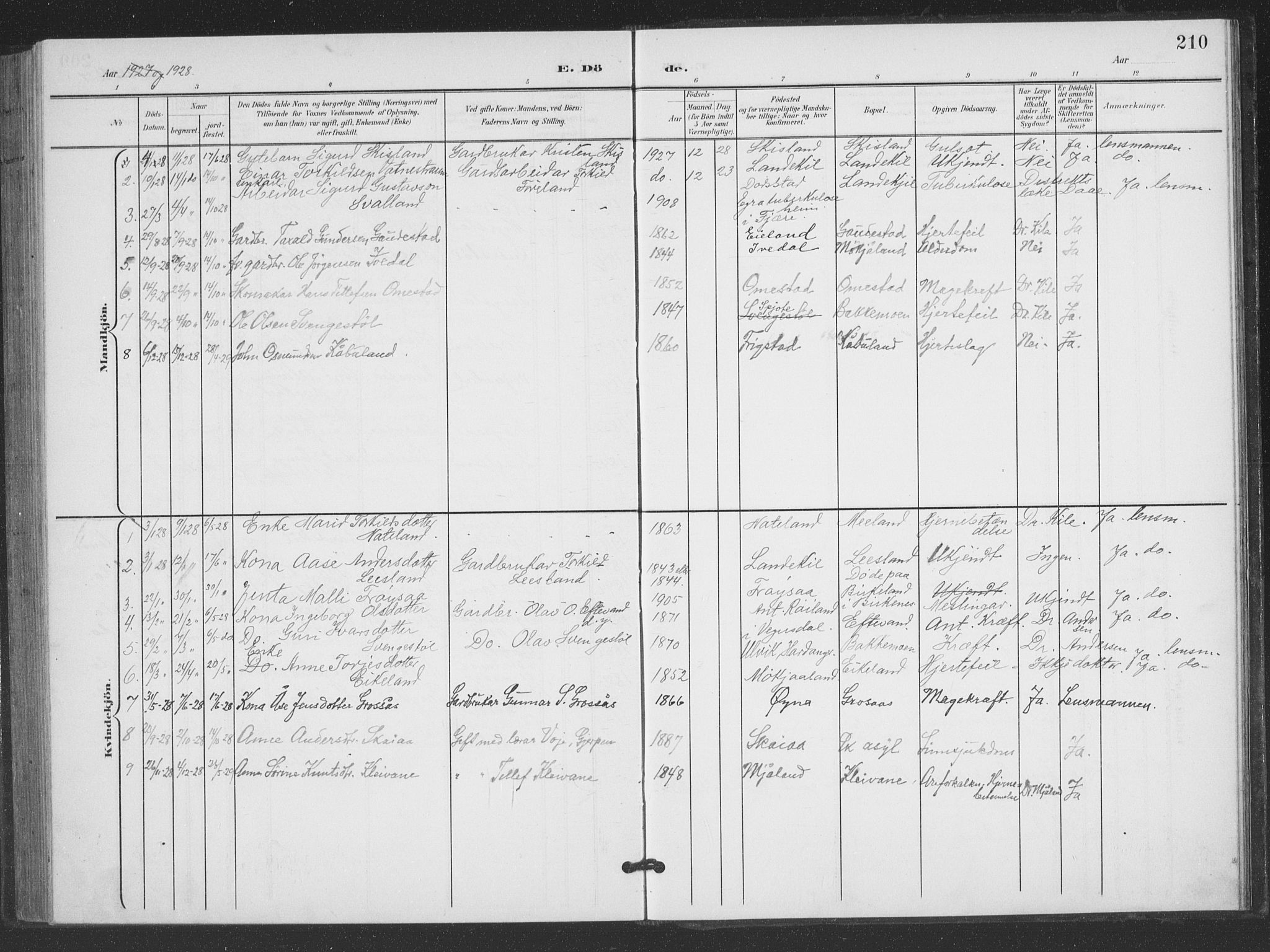 Evje sokneprestkontor, SAK/1111-0008/F/Fb/Fbc/L0005: Parish register (copy) no. B 5, 1901-1935, p. 210