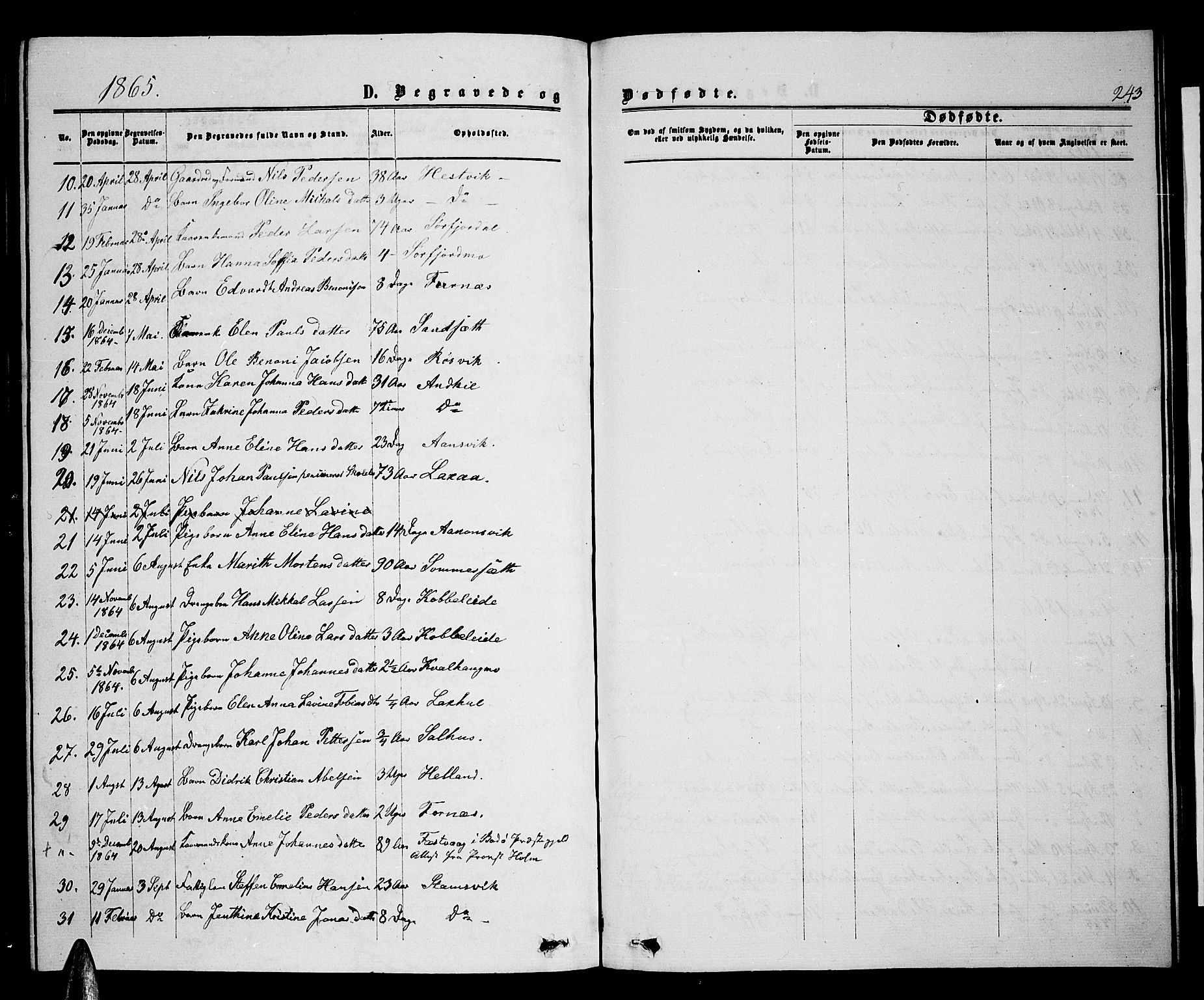 Ministerialprotokoller, klokkerbøker og fødselsregistre - Nordland, AV/SAT-A-1459/853/L0775: Parish register (copy) no. 853C03, 1859-1877, p. 243