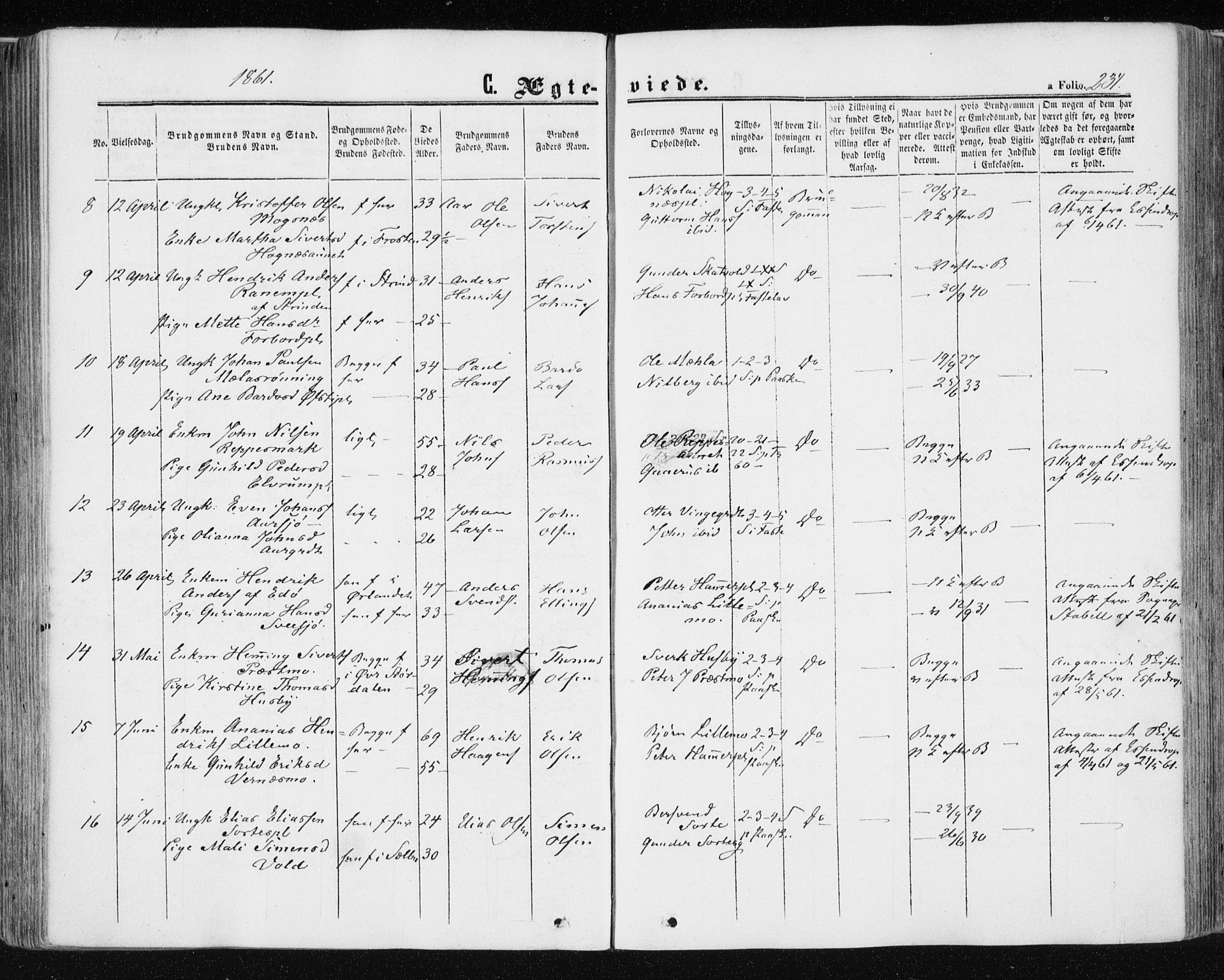 Ministerialprotokoller, klokkerbøker og fødselsregistre - Nord-Trøndelag, AV/SAT-A-1458/709/L0075: Parish register (official) no. 709A15, 1859-1870, p. 234