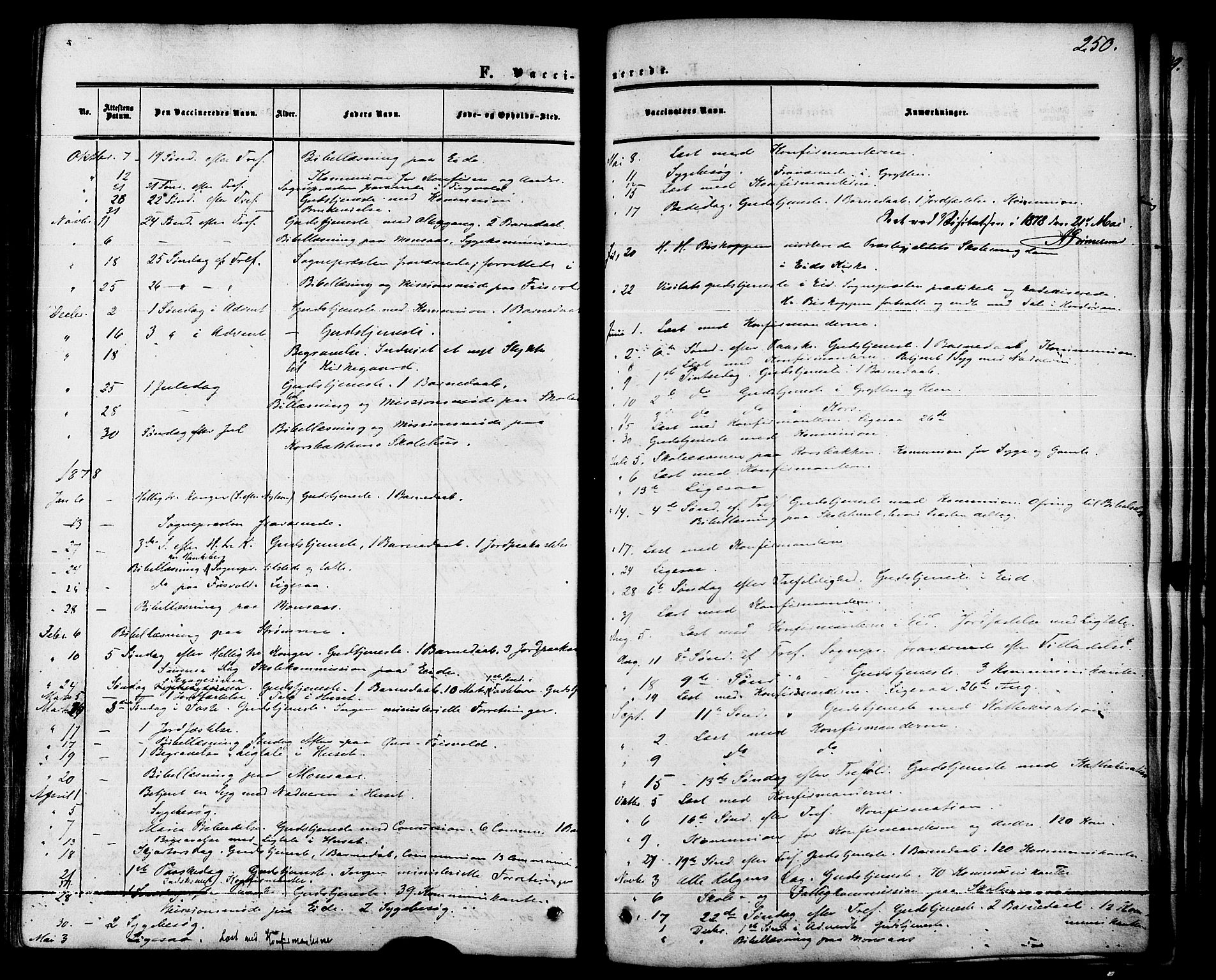 Ministerialprotokoller, klokkerbøker og fødselsregistre - Møre og Romsdal, AV/SAT-A-1454/542/L0552: Parish register (official) no. 542A02, 1854-1884, p. 250