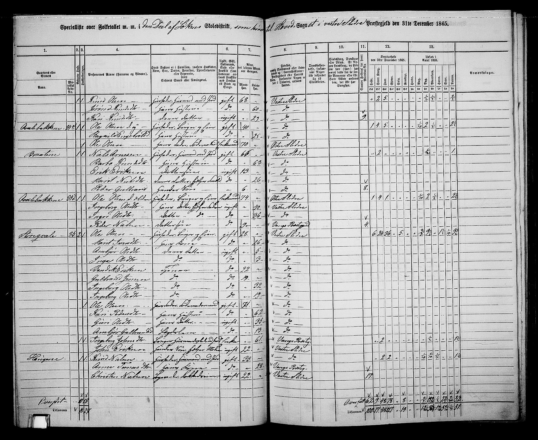 RA, 1865 census for Vestre Slidre, 1865, p. 54