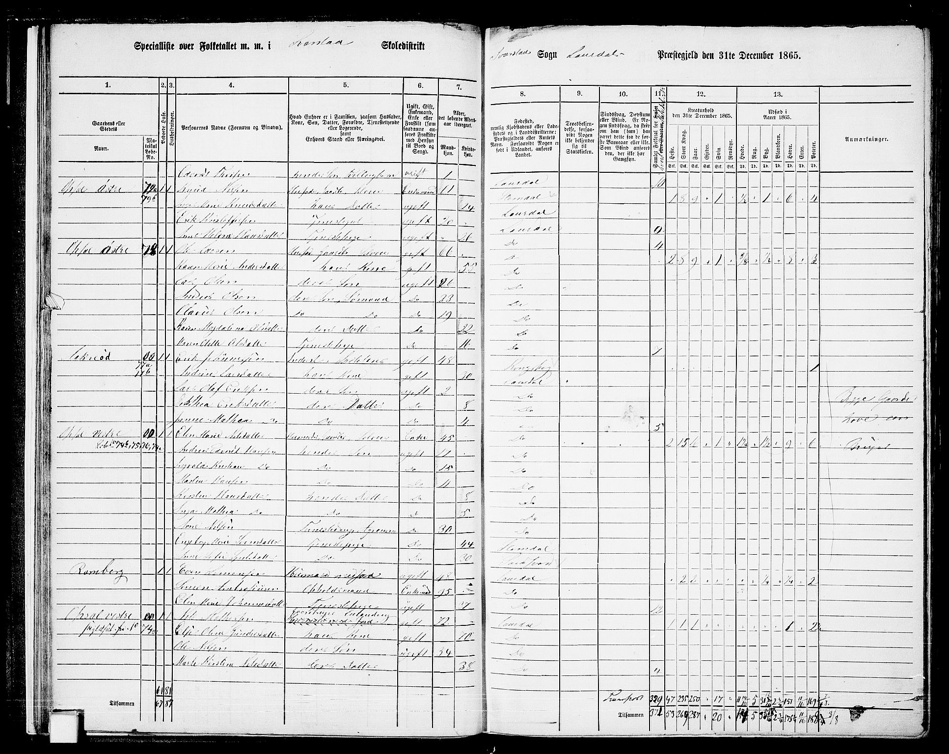 RA, 1865 census for Lardal, 1865, p. 21