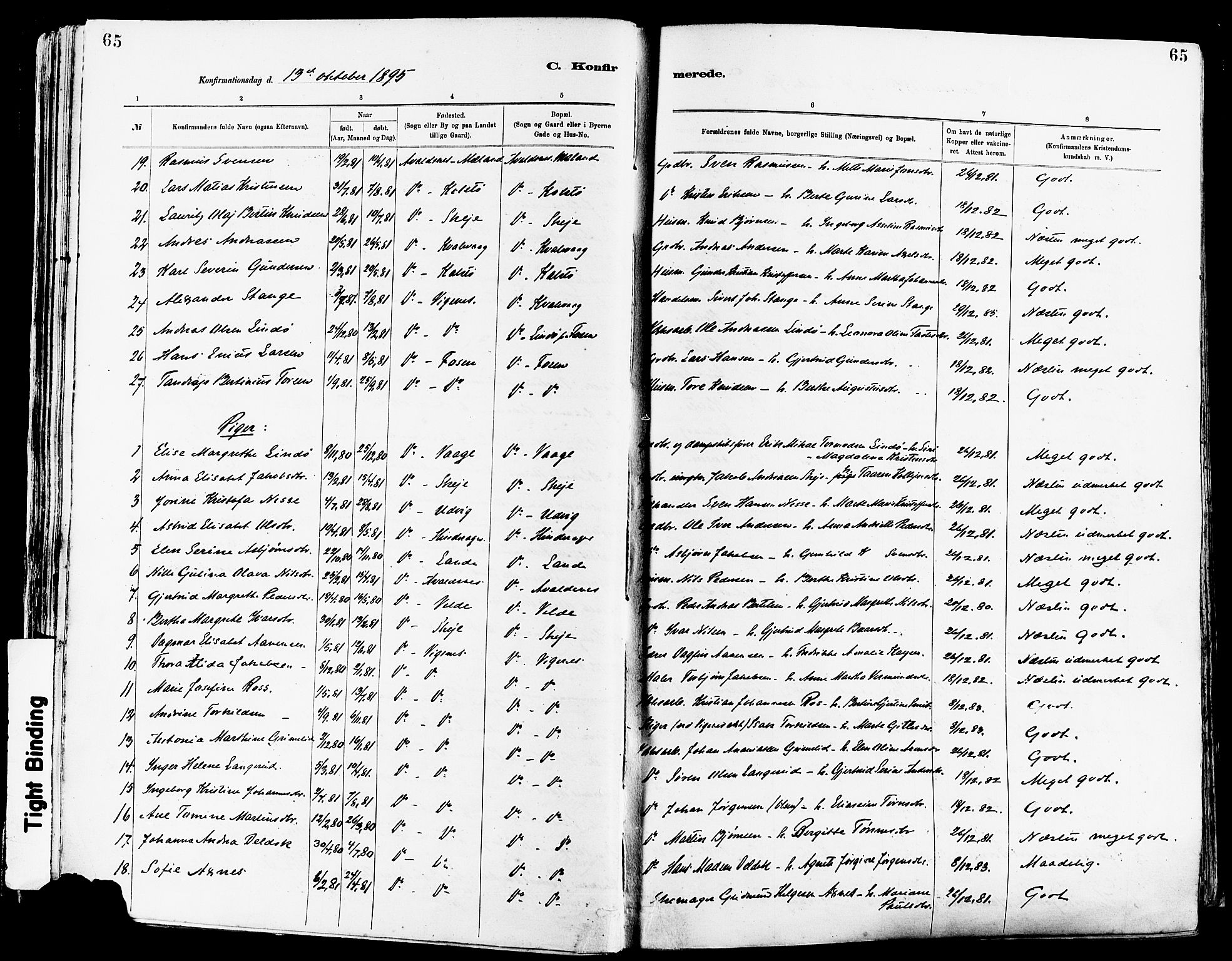 Avaldsnes sokneprestkontor, AV/SAST-A -101851/H/Ha/Haa/L0015: Parish register (official) no. A 15, 1880-1906, p. 65