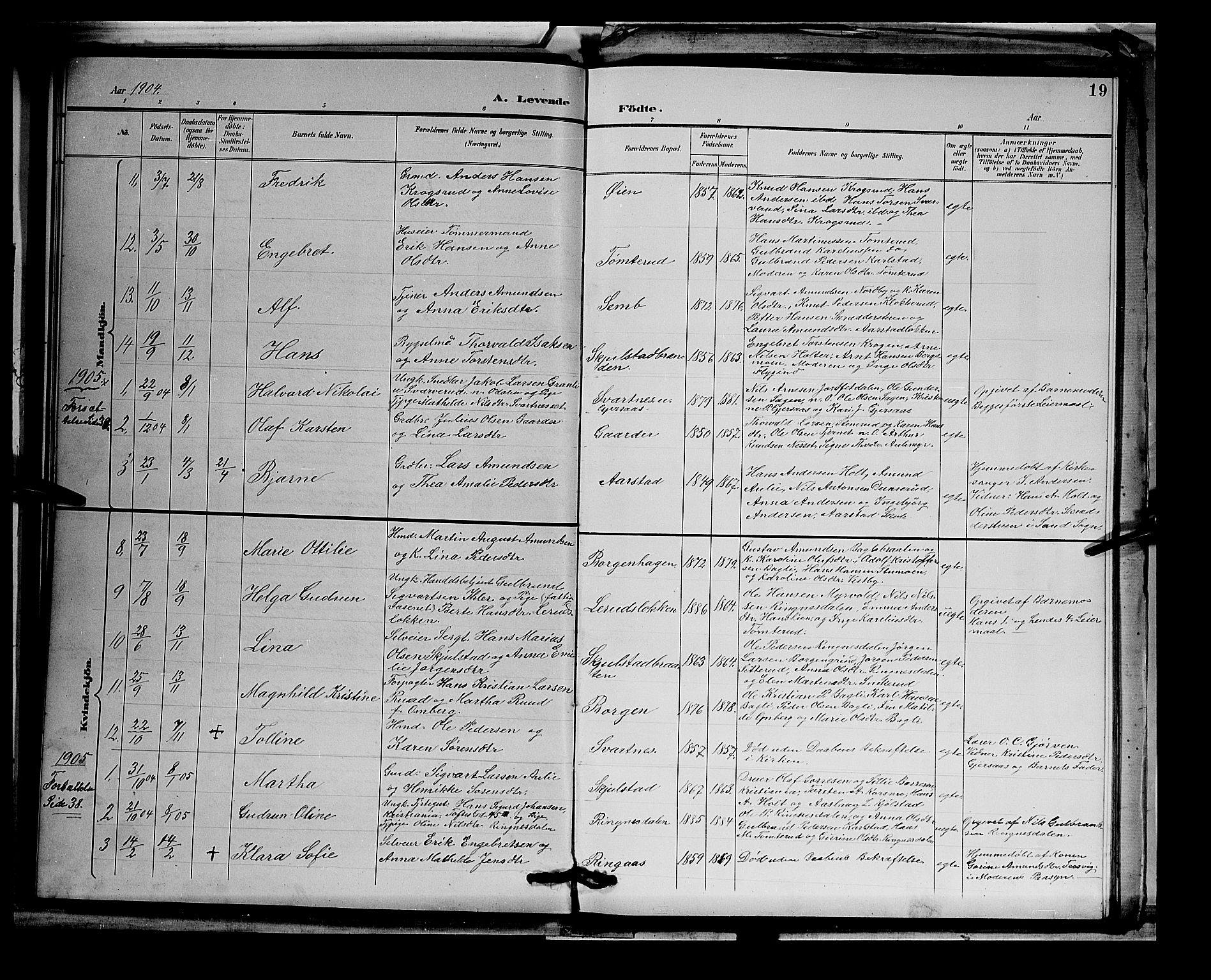 Sør-Odal prestekontor, AV/SAH-PREST-030/H/Ha/Hab/L0003: Parish register (copy) no. 3, 1895-1906, p. 19