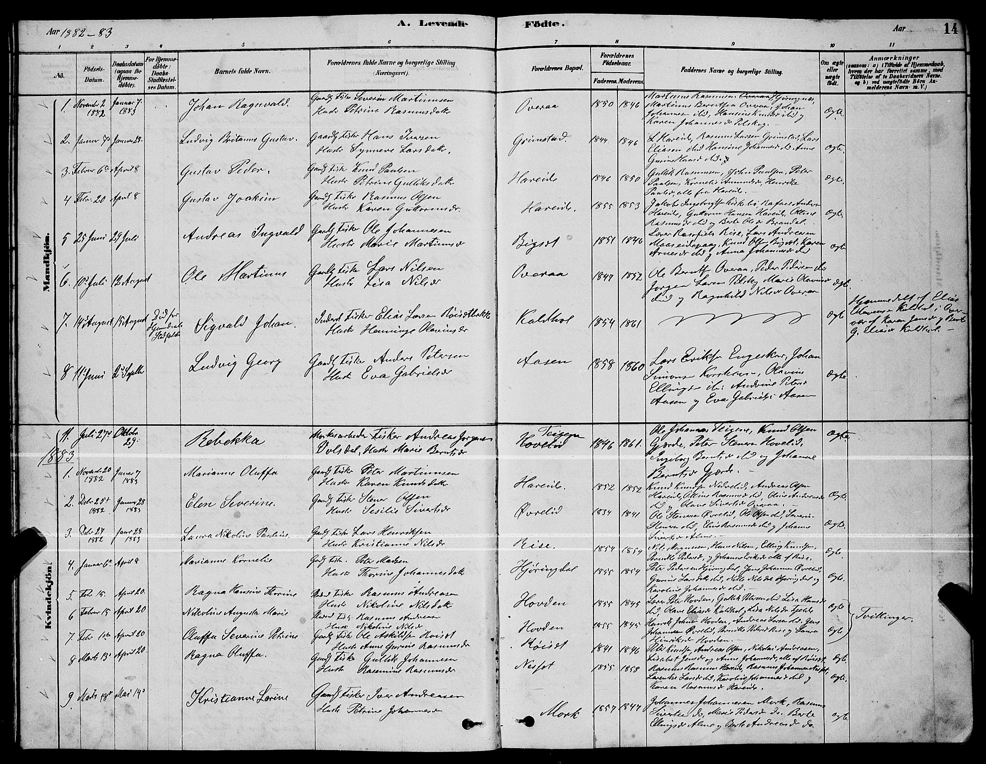 Ministerialprotokoller, klokkerbøker og fødselsregistre - Møre og Romsdal, AV/SAT-A-1454/510/L0125: Parish register (copy) no. 510C02, 1878-1900, p. 14