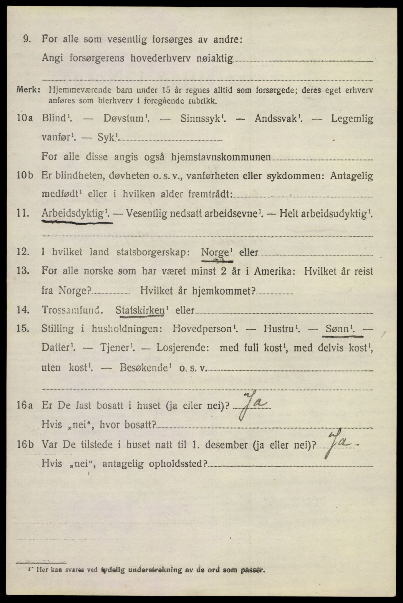 SAKO, 1920 census for Nore, 1920, p. 2619