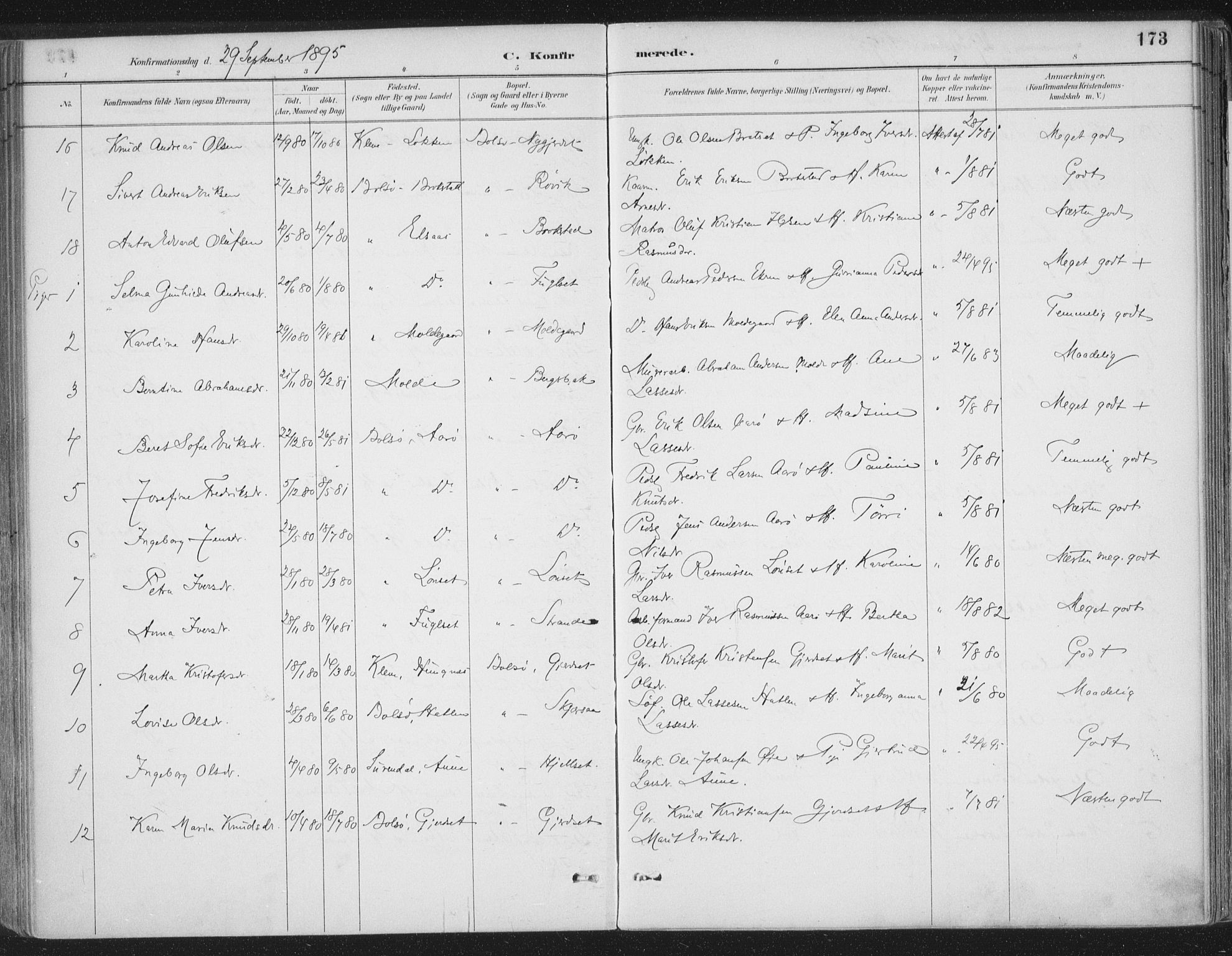 Ministerialprotokoller, klokkerbøker og fødselsregistre - Møre og Romsdal, AV/SAT-A-1454/555/L0658: Parish register (official) no. 555A09, 1887-1917, p. 173