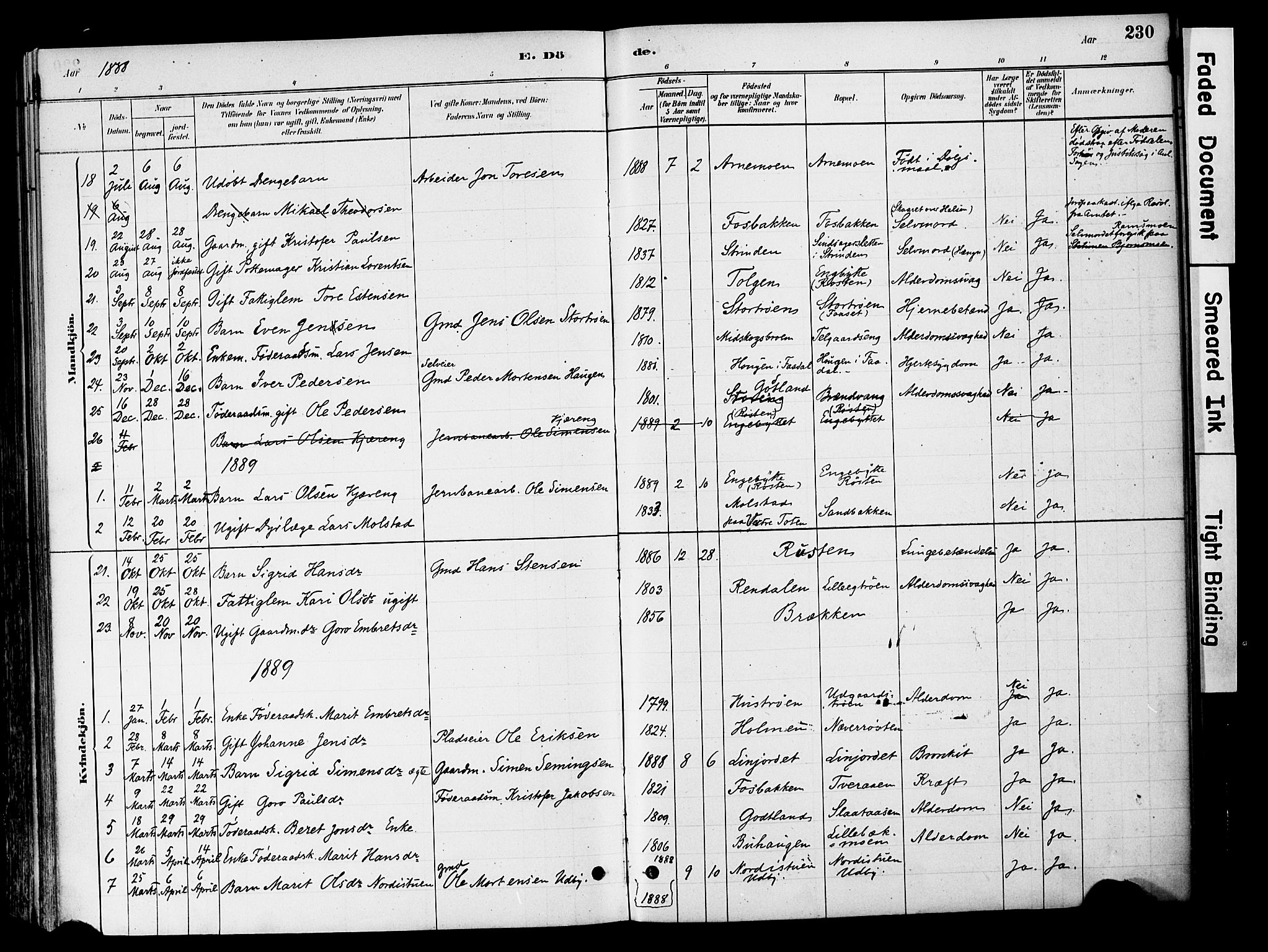 Tynset prestekontor, SAH/PREST-058/H/Ha/Haa/L0022: Parish register (official) no. 22, 1880-1899, p. 230