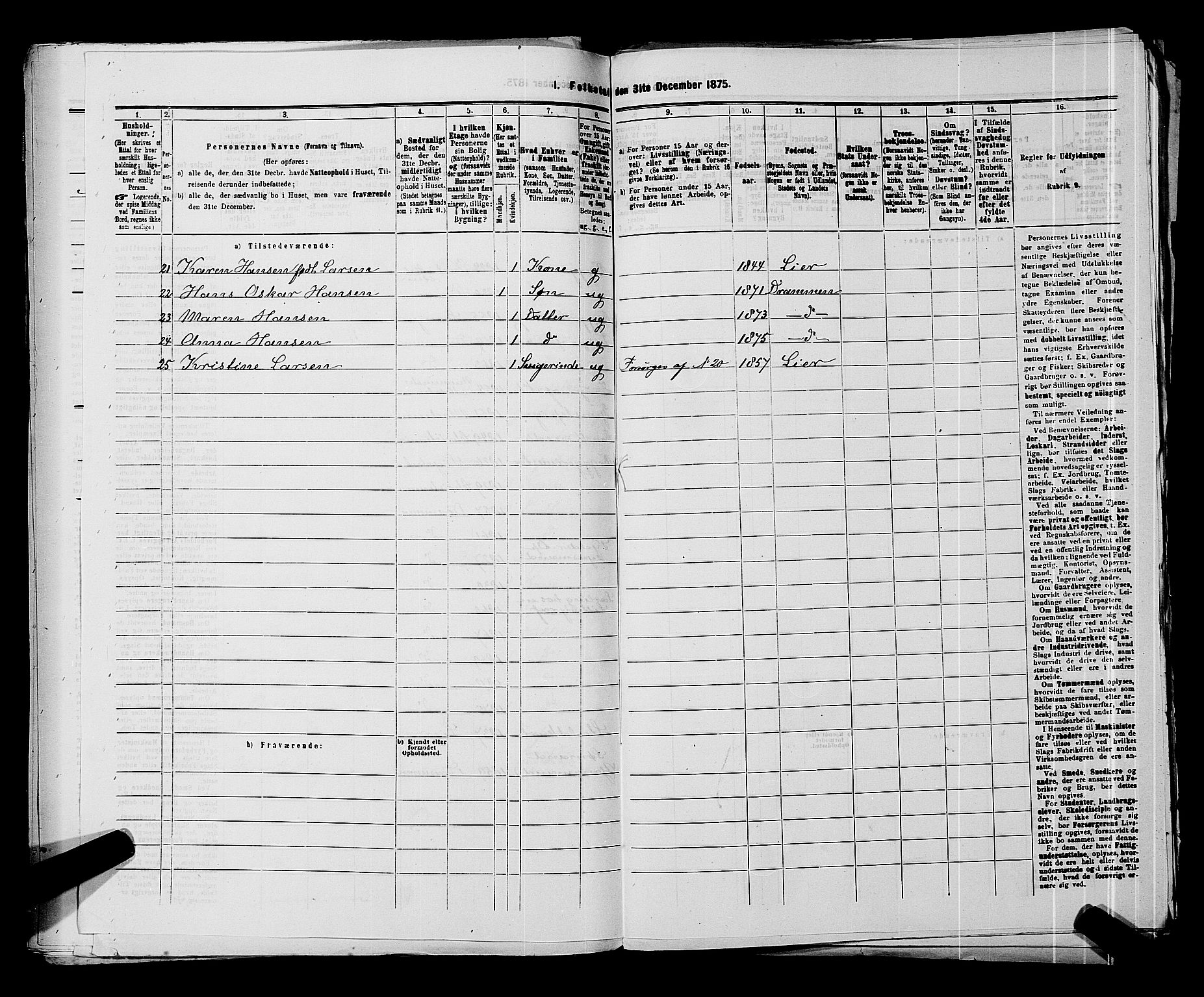 SAKO, 1875 census for 0602 Drammen, 1875, p. 359