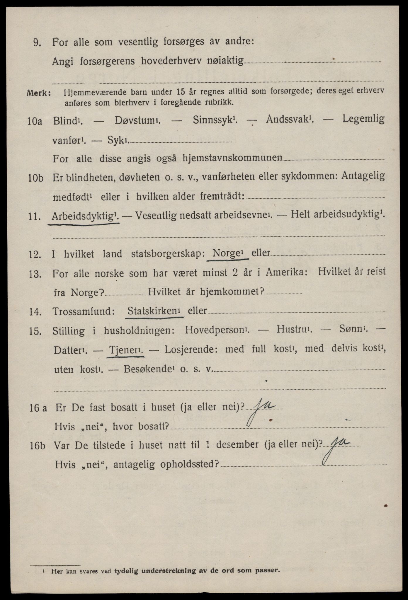 SAKO, 1920 census for Nissedal, 1920, p. 1992