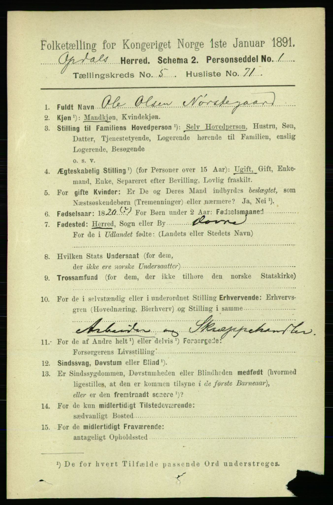 RA, 1891 census for 1634 Oppdal, 1891, p. 2667