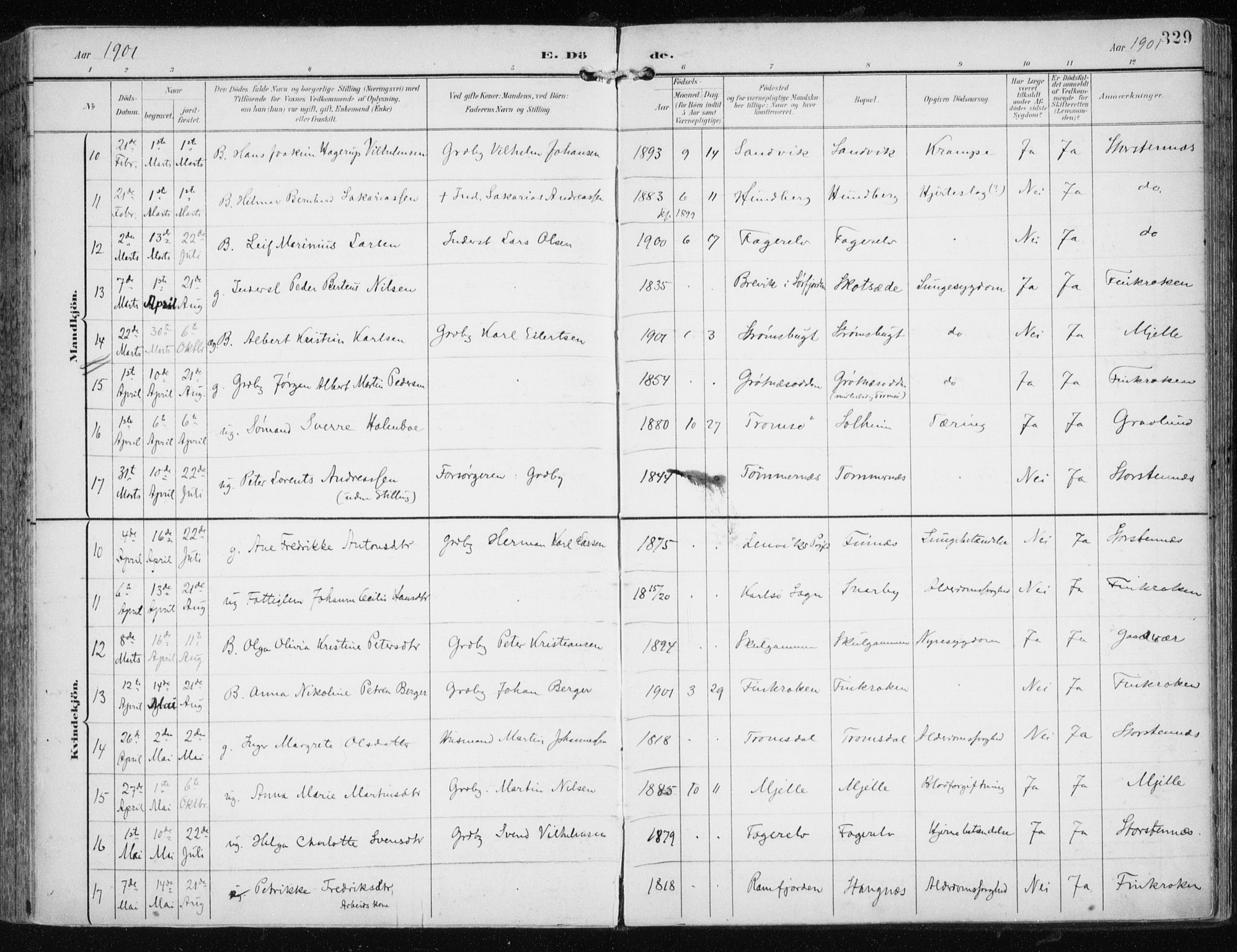 Tromsøysund sokneprestkontor, AV/SATØ-S-1304/G/Ga/L0006kirke: Parish register (official) no. 6, 1897-1906, p. 329