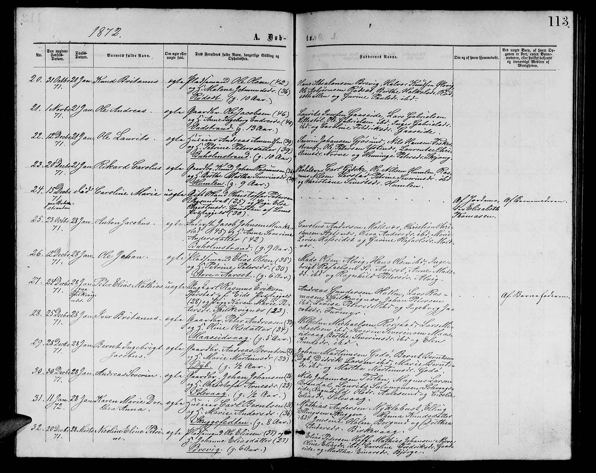 Ministerialprotokoller, klokkerbøker og fødselsregistre - Møre og Romsdal, AV/SAT-A-1454/528/L0428: Parish register (copy) no. 528C09, 1864-1880, p. 113