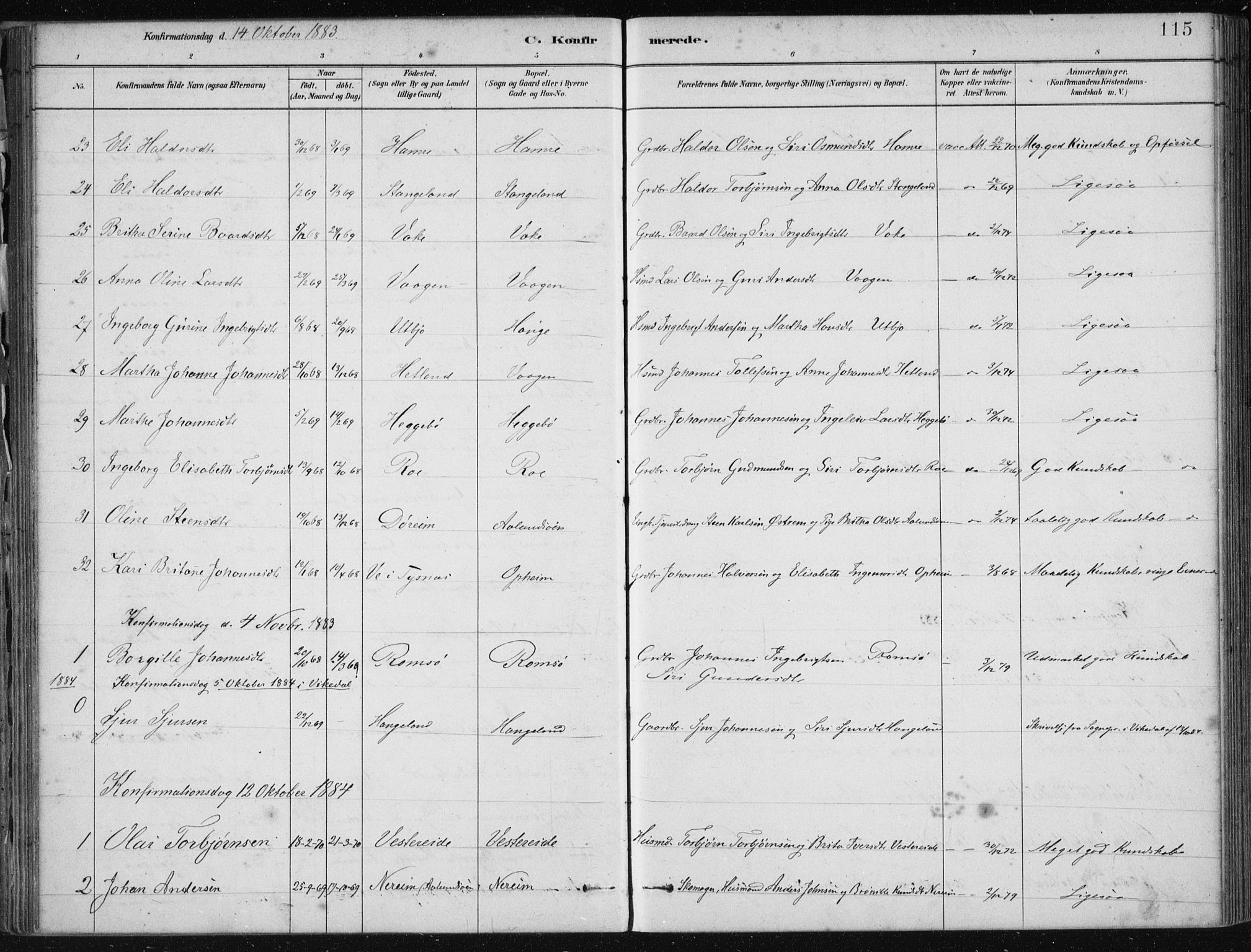 Fjelberg sokneprestembete, AV/SAB-A-75201/H/Haa: Parish register (official) no. D 1, 1879-1918, p. 115