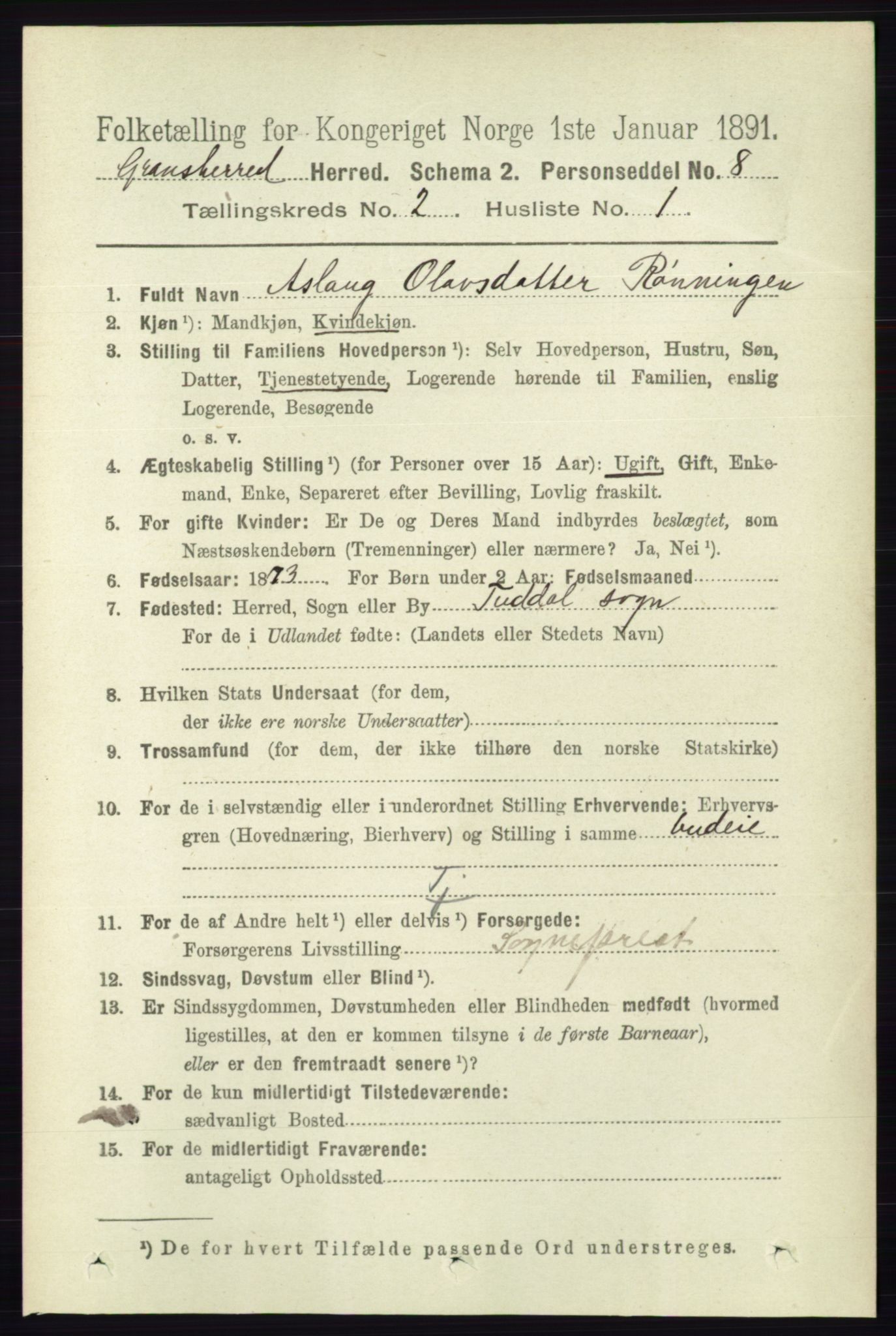 RA, 1891 census for 0824 Gransherad, 1891, p. 294
