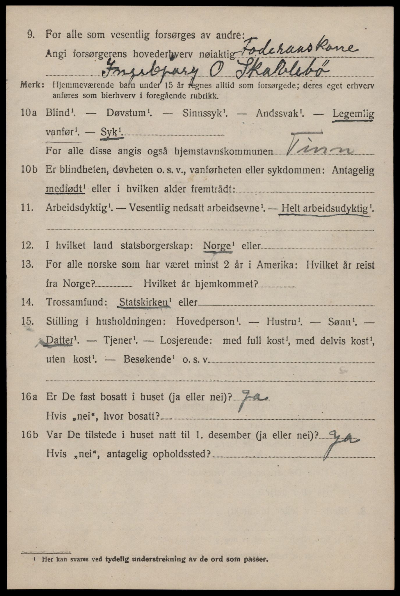 SAKO, 1920 census for Tinn, 1920, p. 2699