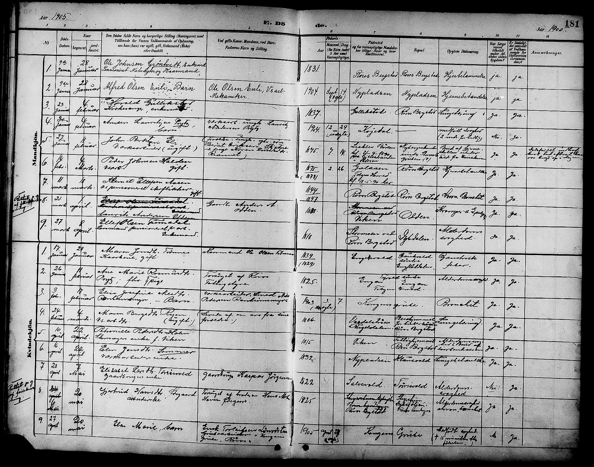 Ministerialprotokoller, klokkerbøker og fødselsregistre - Sør-Trøndelag, SAT/A-1456/681/L0941: Parish register (copy) no. 681C05, 1896-1905, p. 181