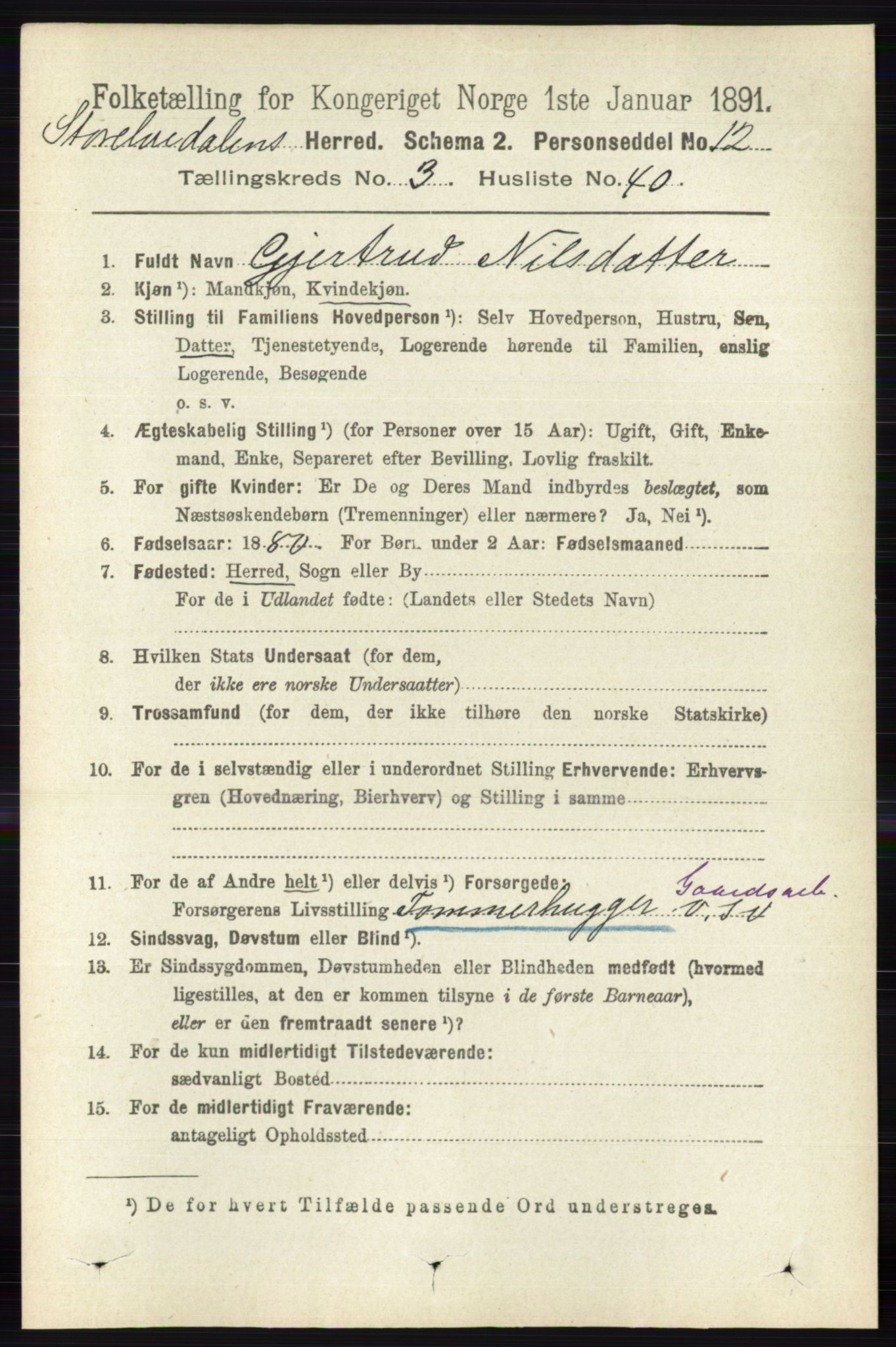 RA, 1891 census for 0430 Stor-Elvdal, 1891, p. 1126