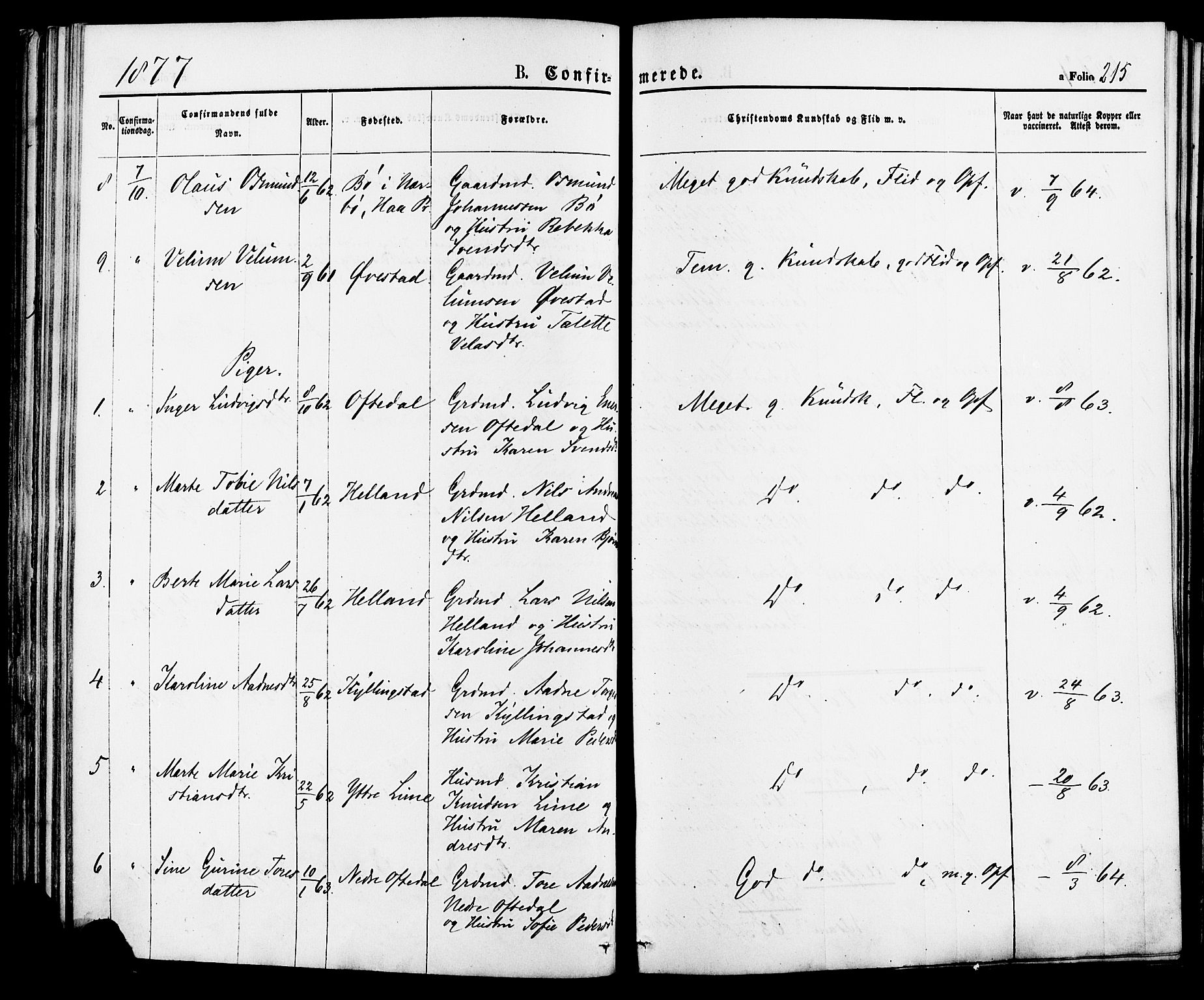 Lye sokneprestkontor, AV/SAST-A-101794/001/30BA/L0008: Parish register (official) no. A 7, 1872-1881, p. 215