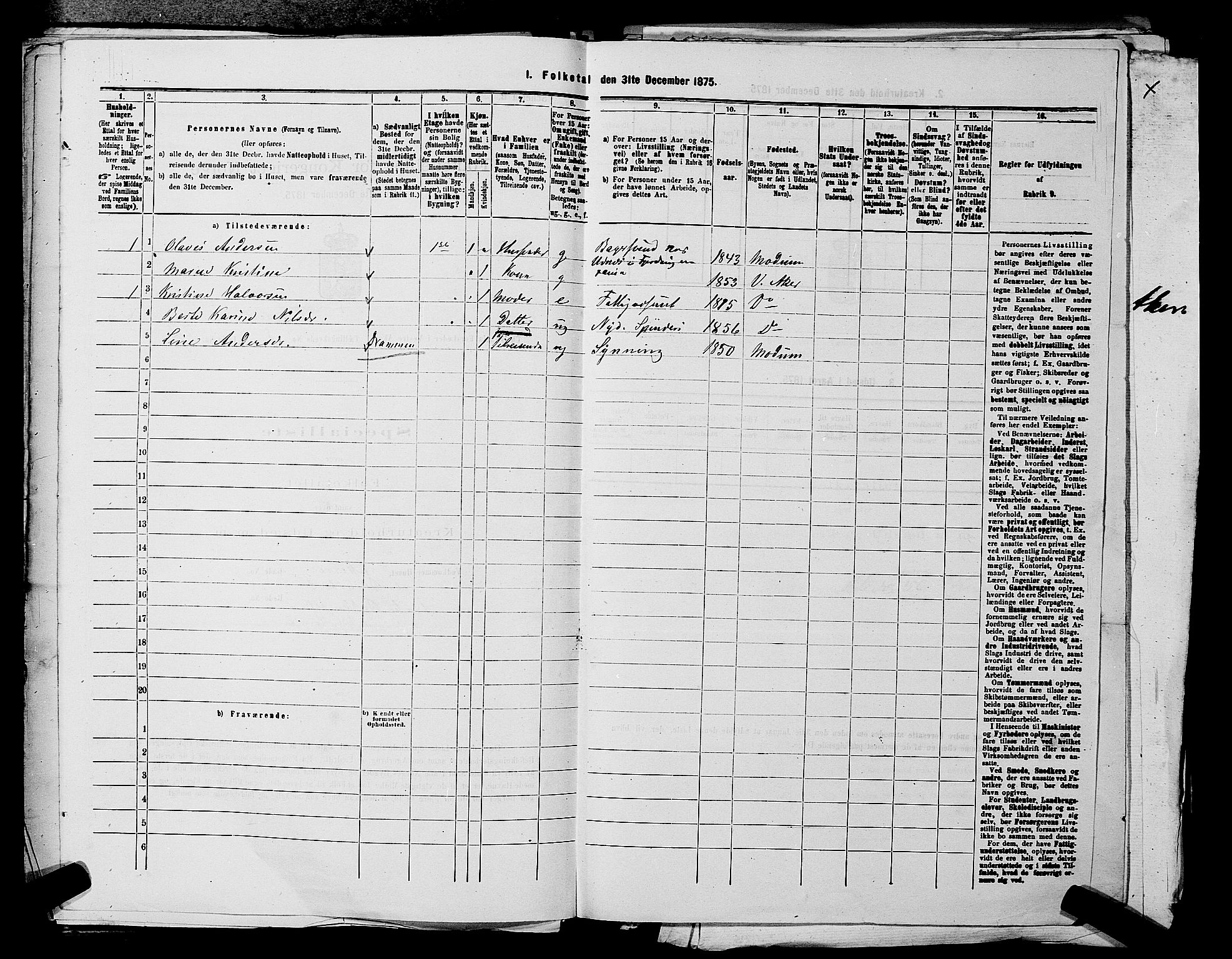 RA, 1875 census for 0218aP Vestre Aker, 1875, p. 1504