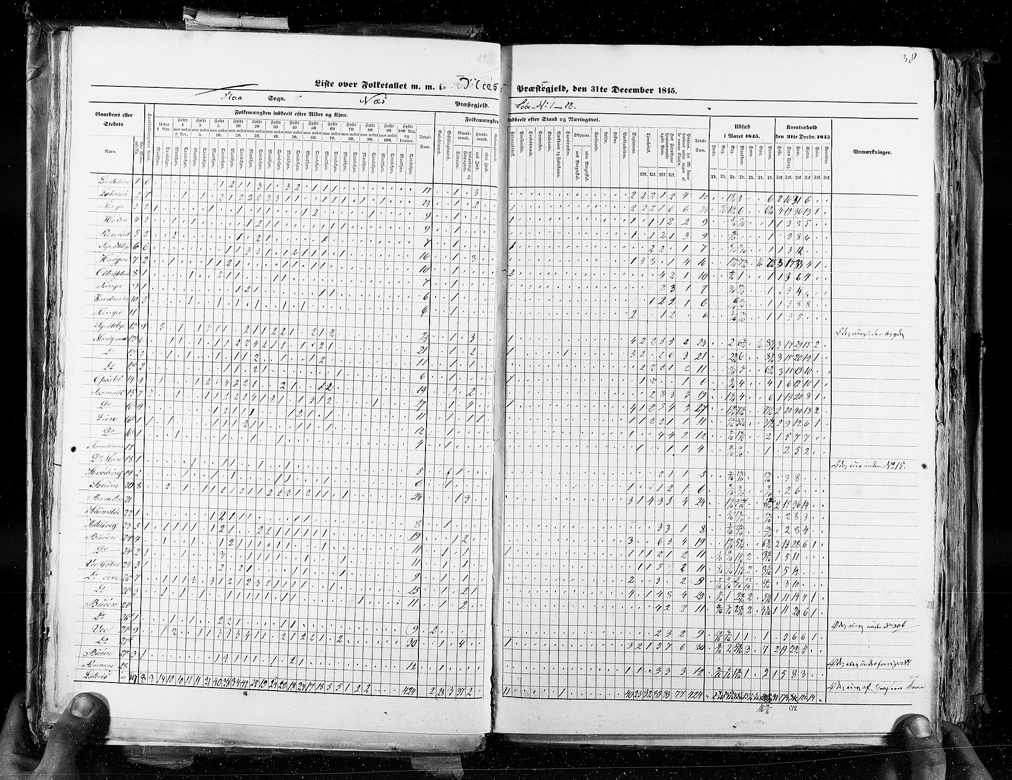 RA, Census 1845, vol. 4: Buskerud amt og Jarlsberg og Larvik amt, 1845, p. 38