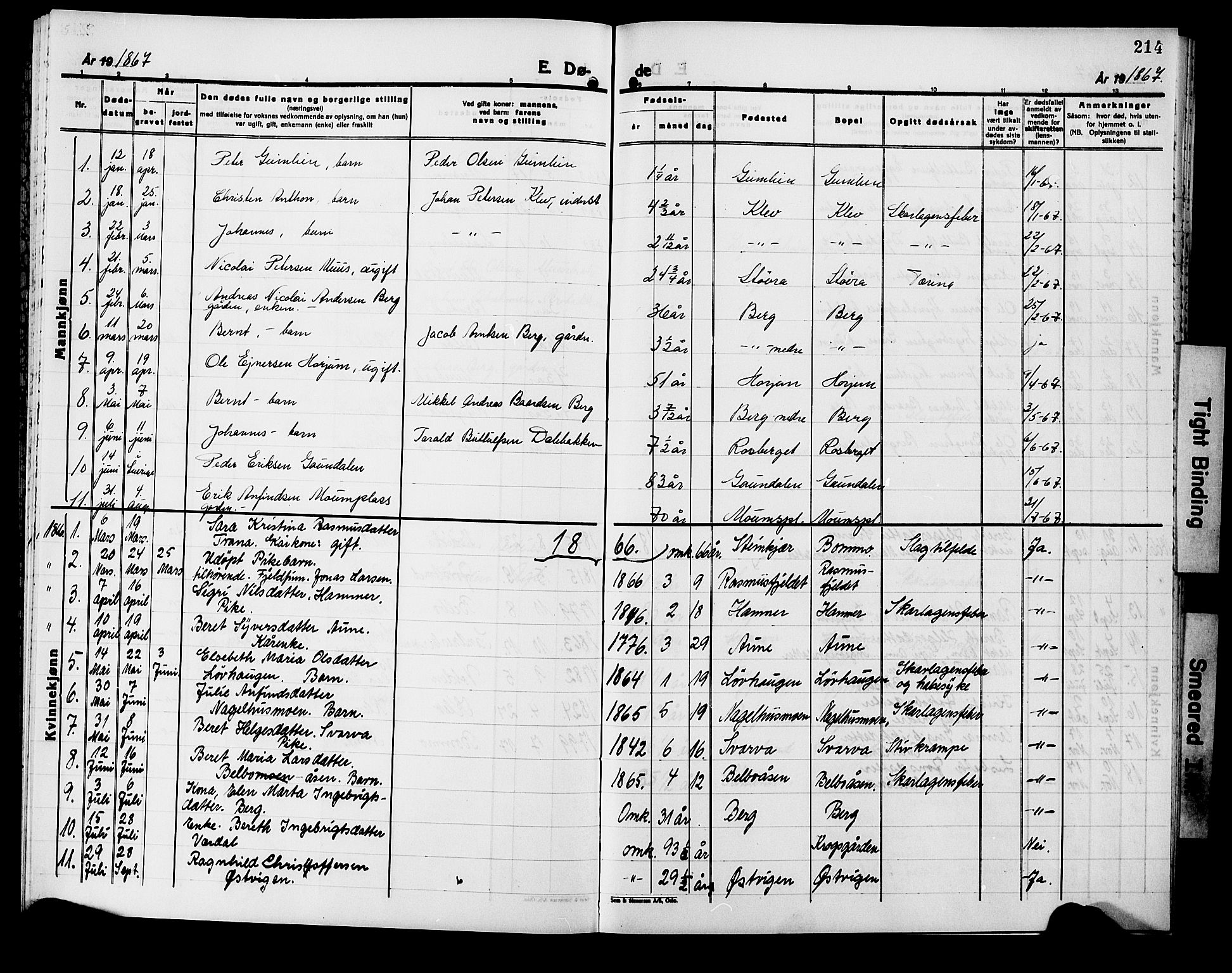 Ministerialprotokoller, klokkerbøker og fødselsregistre - Nord-Trøndelag, SAT/A-1458/749/L0485: Parish register (official) no. 749D01, 1857-1872, p. 214