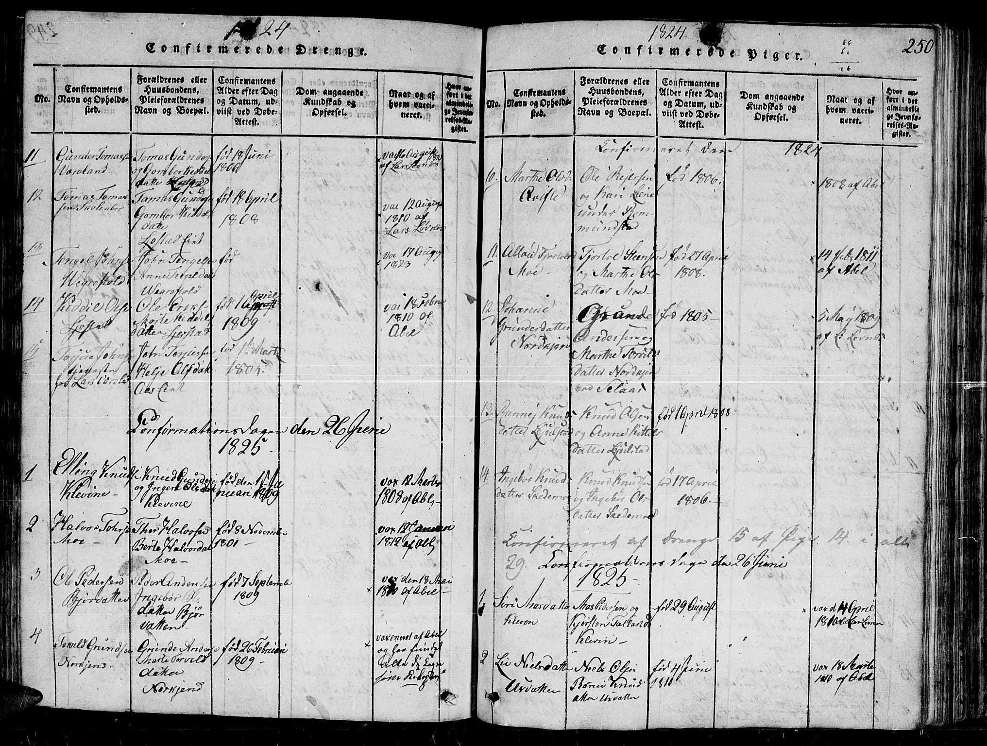 Gjerstad sokneprestkontor, SAK/1111-0014/F/Fb/Fbb/L0001: Parish register (copy) no. B 1, 1813-1863, p. 250