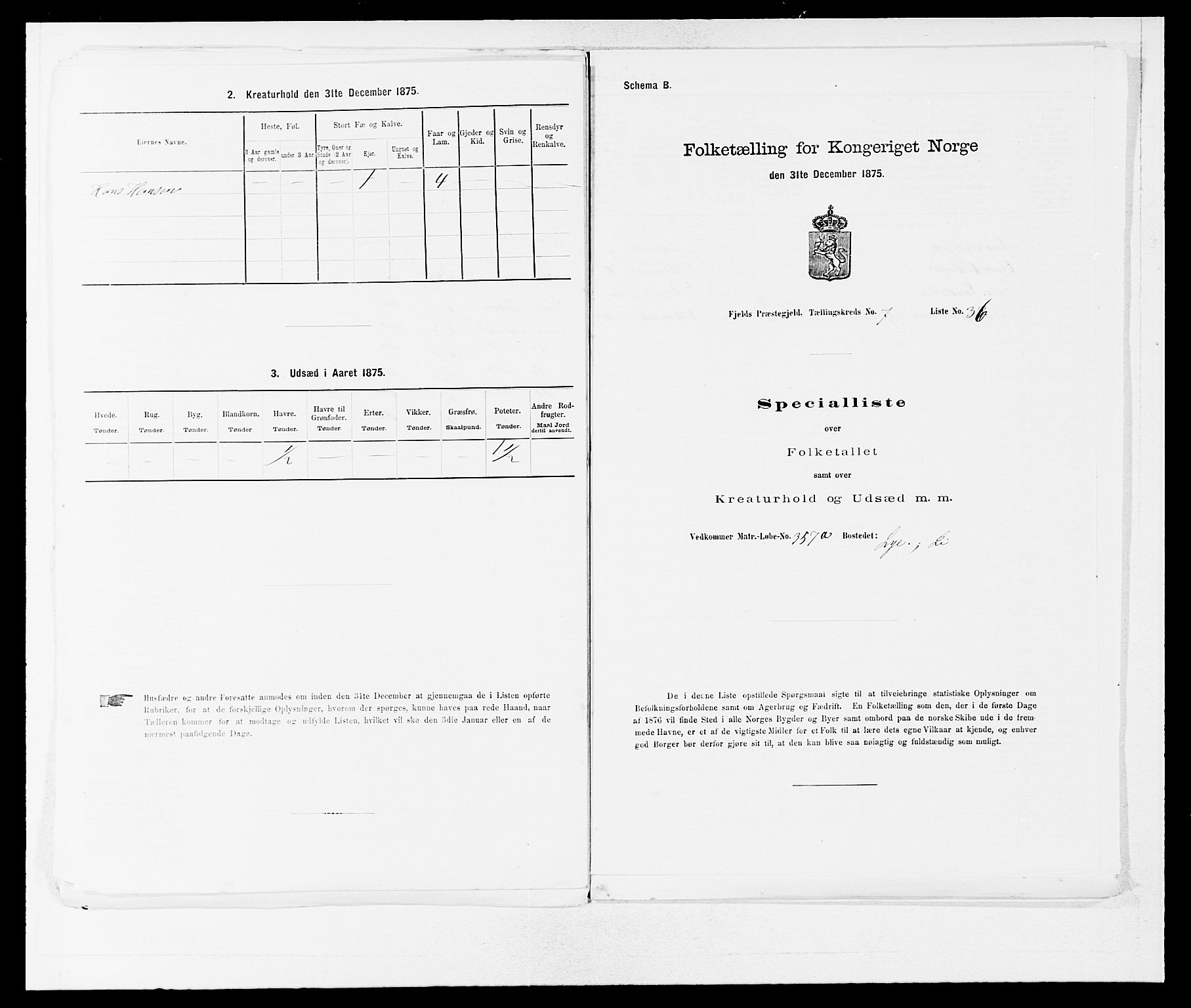 SAB, 1875 census for 1246P Fjell, 1875, p. 915