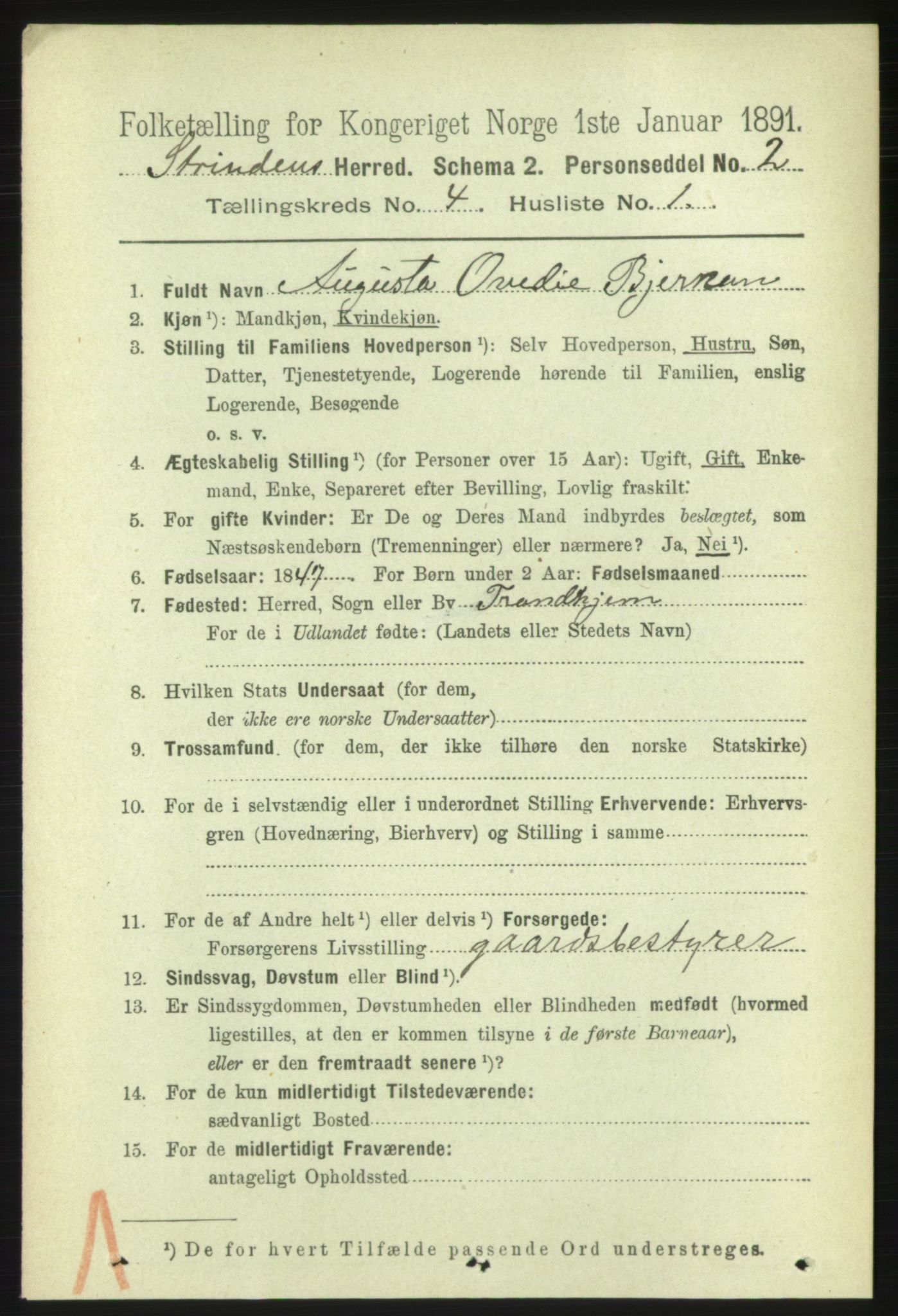 RA, 1891 census for 1660 Strinda, 1891, p. 3810