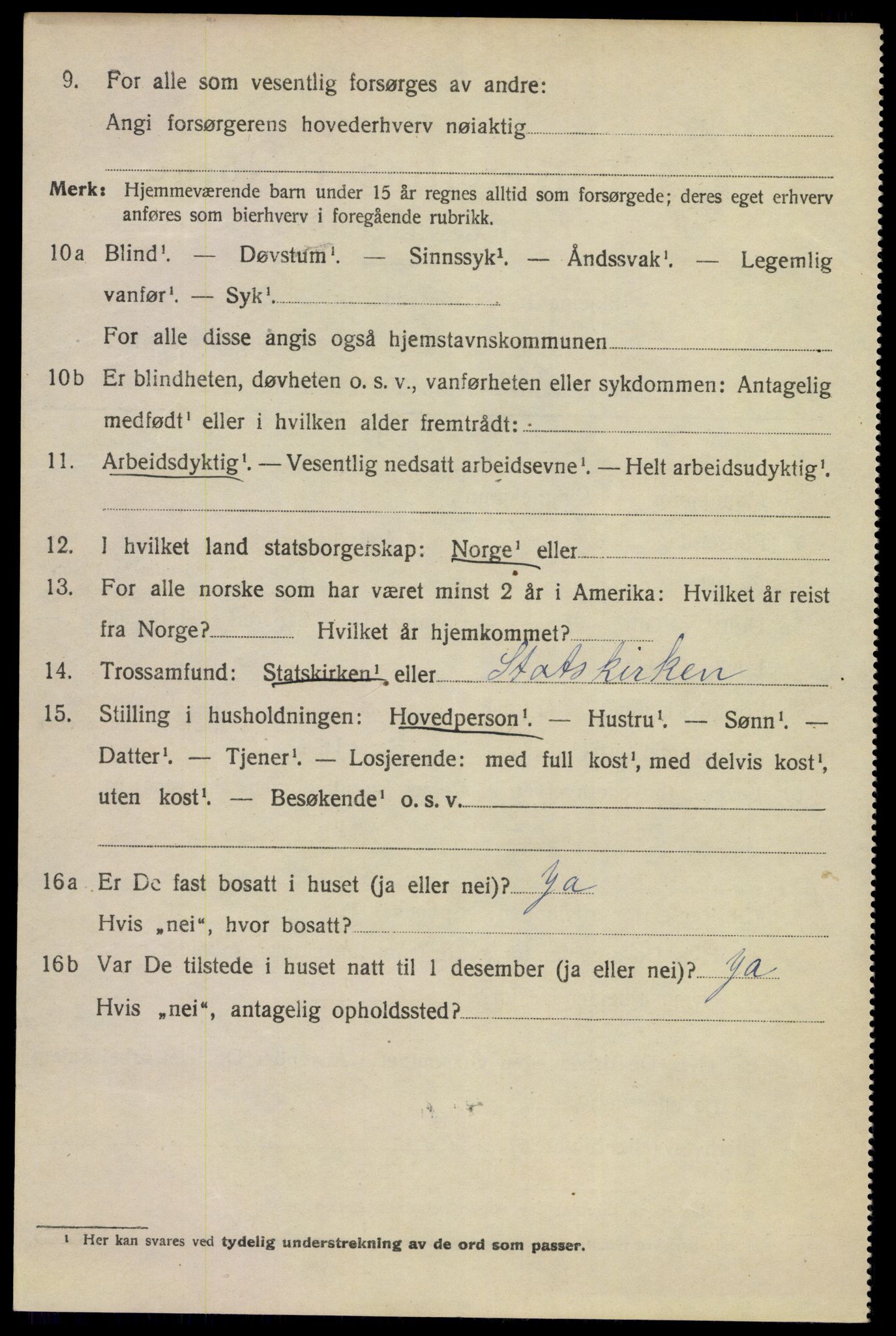 SAKO, 1920 census for Porsgrunn, 1920, p. 17370