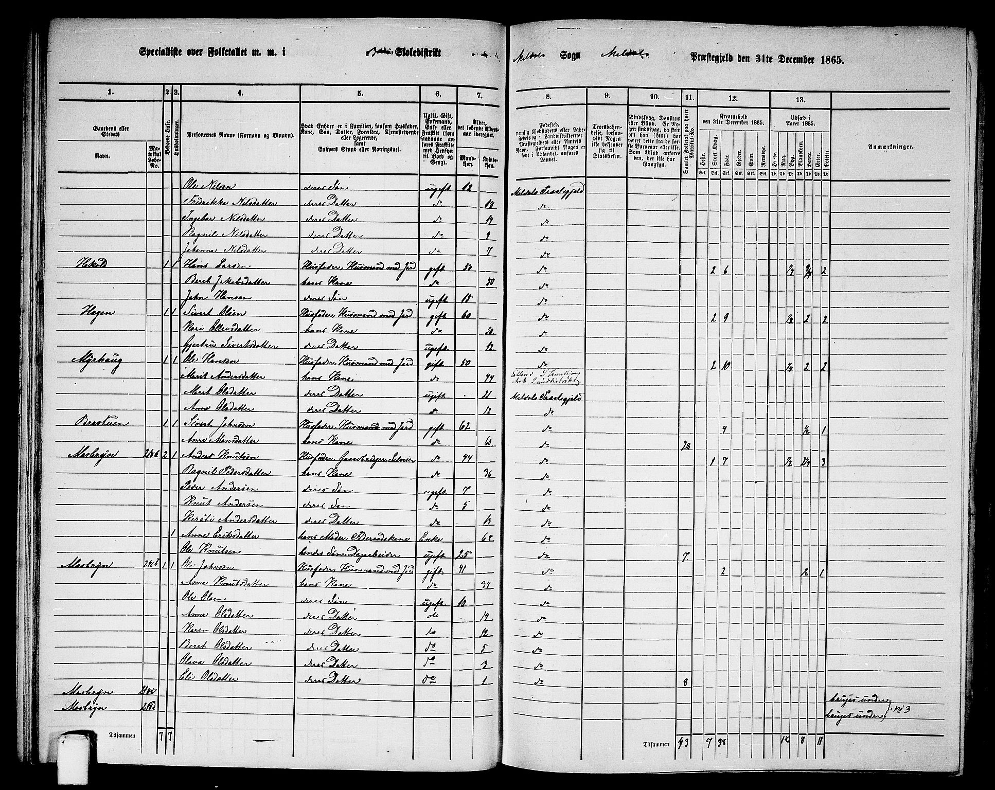 RA, 1865 census for Meldal, 1865, p. 78