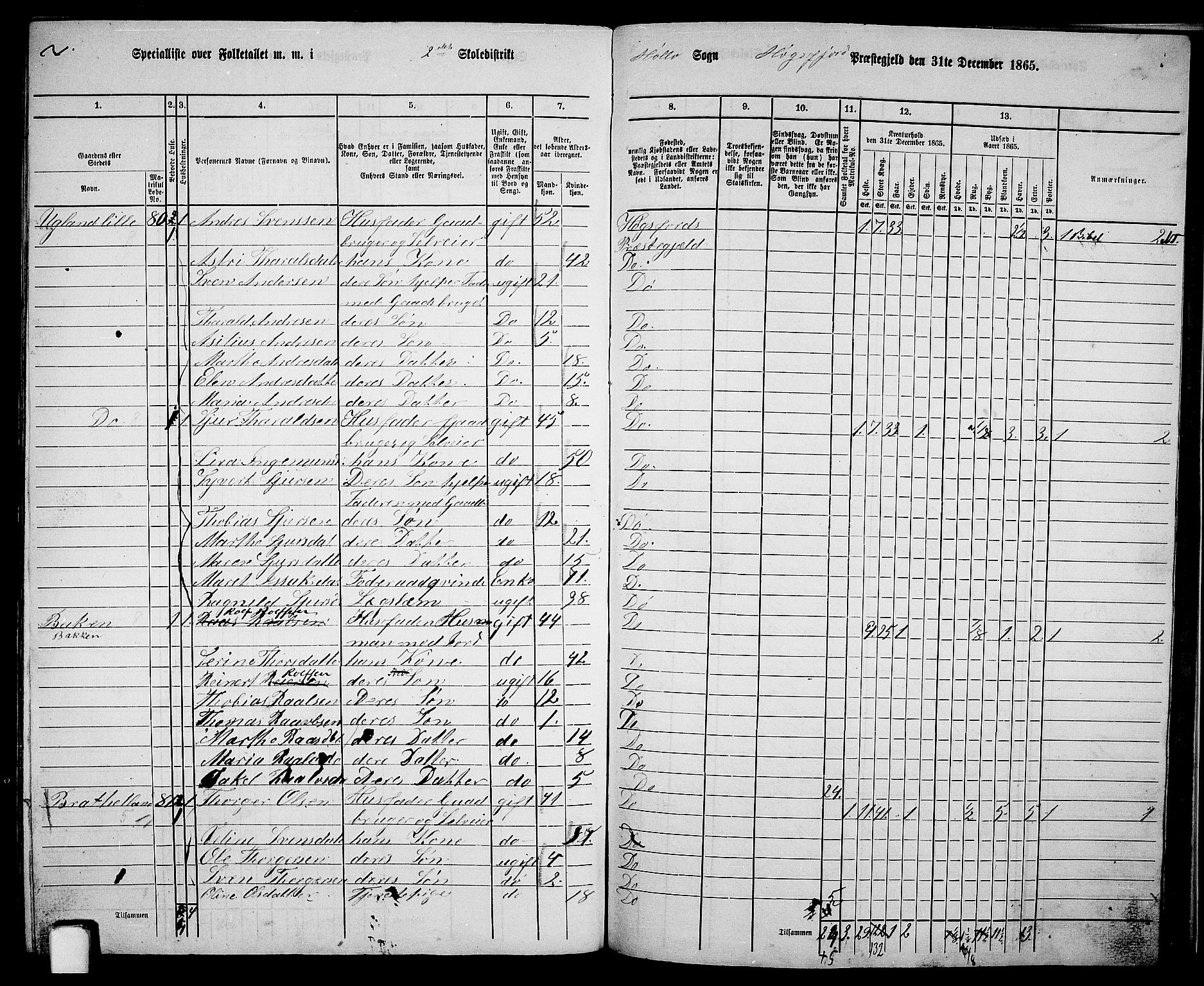 RA, 1865 census for Høgsfjord, 1865, p. 128