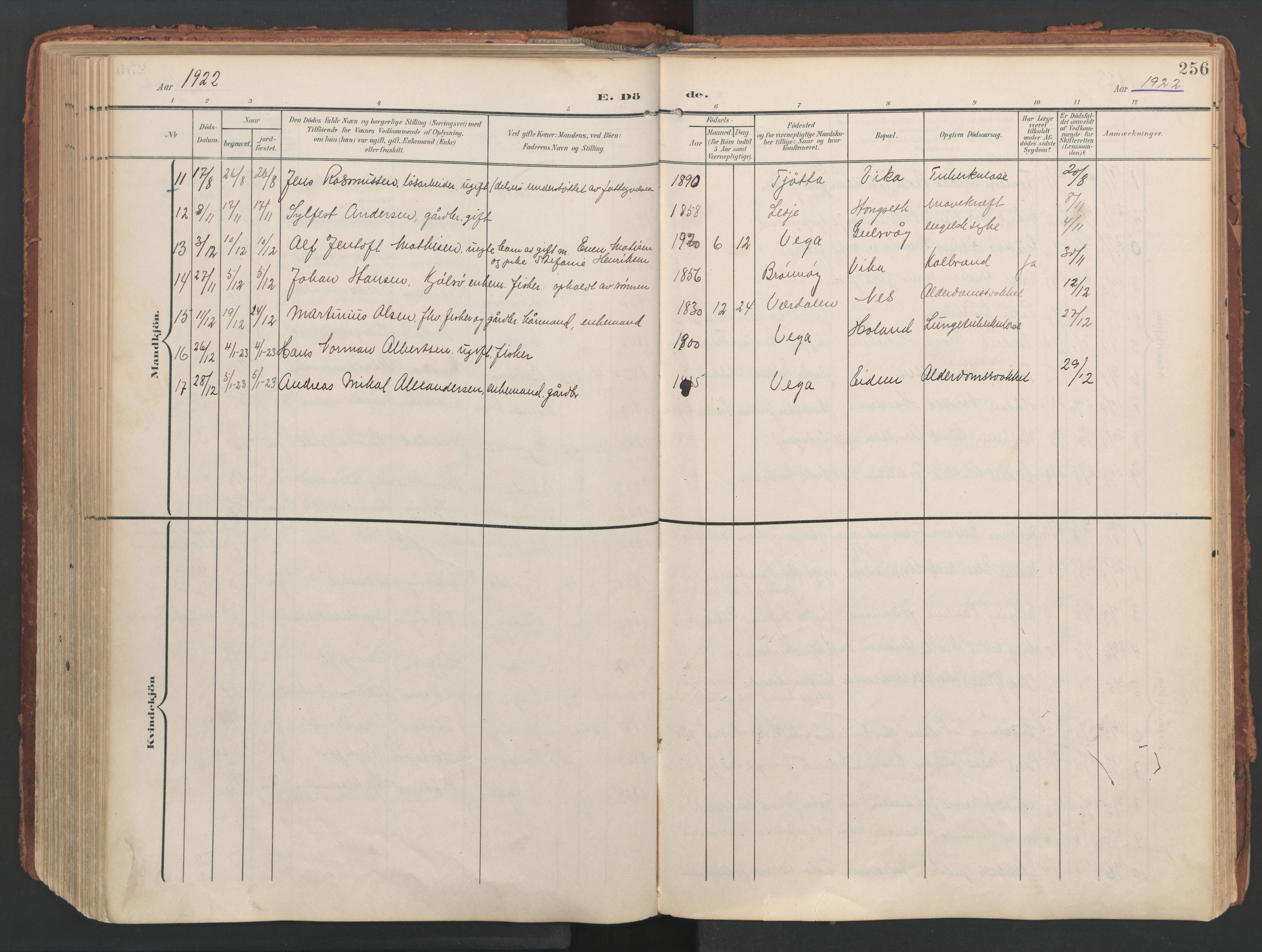 Ministerialprotokoller, klokkerbøker og fødselsregistre - Nordland, AV/SAT-A-1459/816/L0250: Parish register (official) no. 816A16, 1903-1923, p. 256